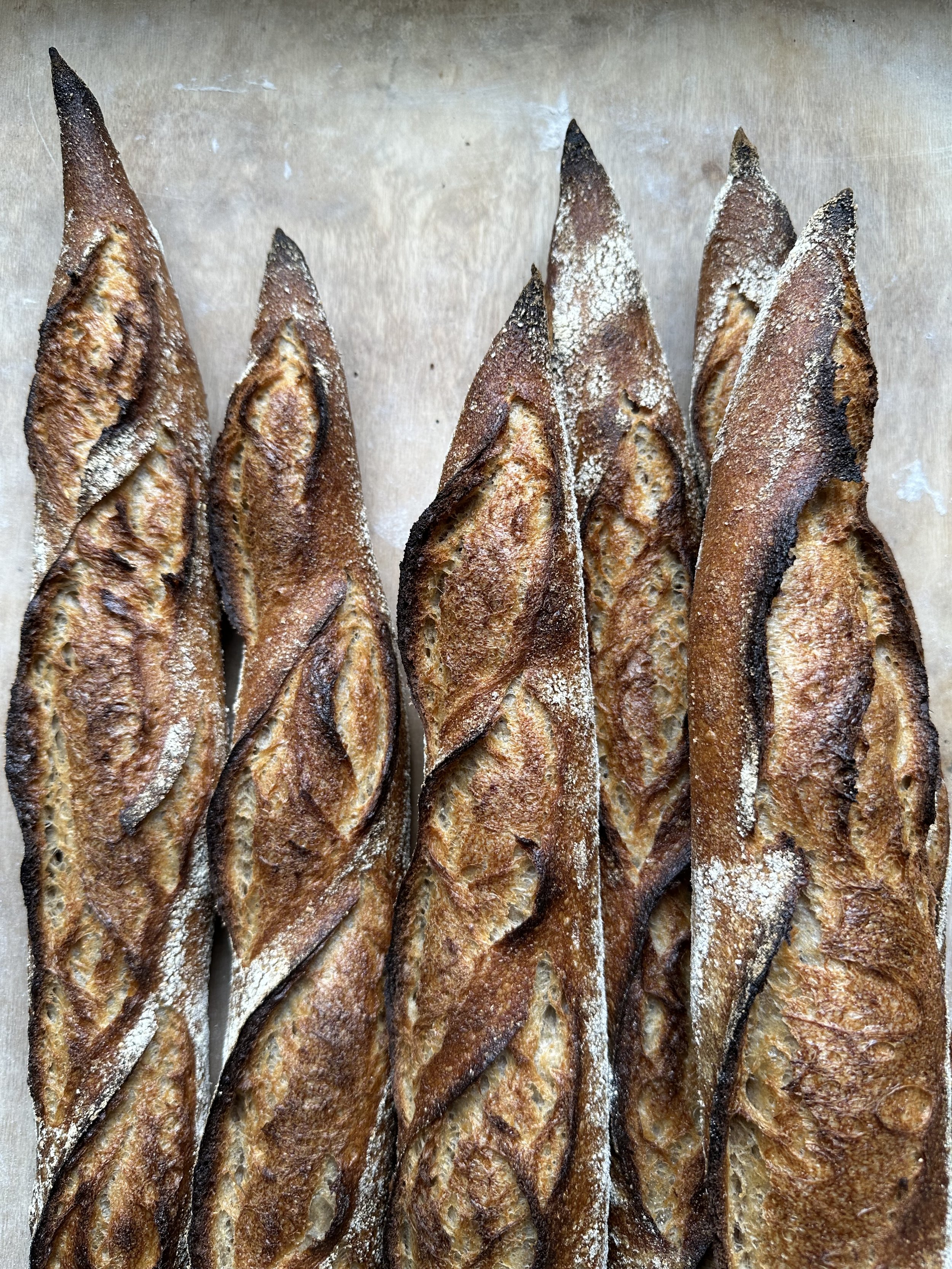 baguettes- one dough many uses pic.jpeg