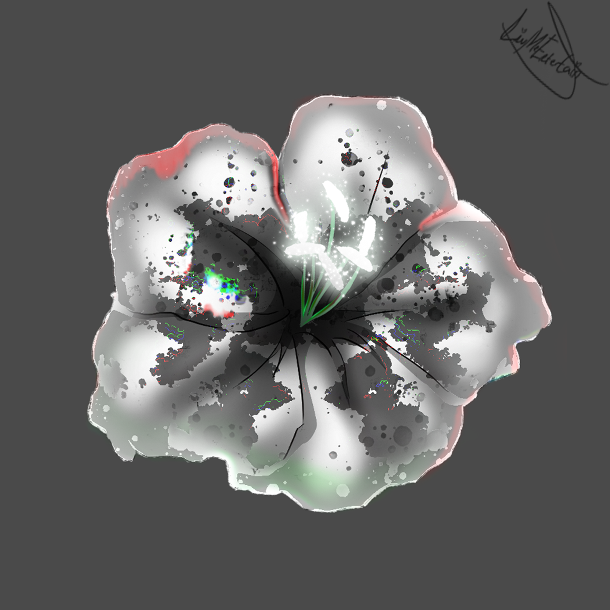 rorschach flower.png