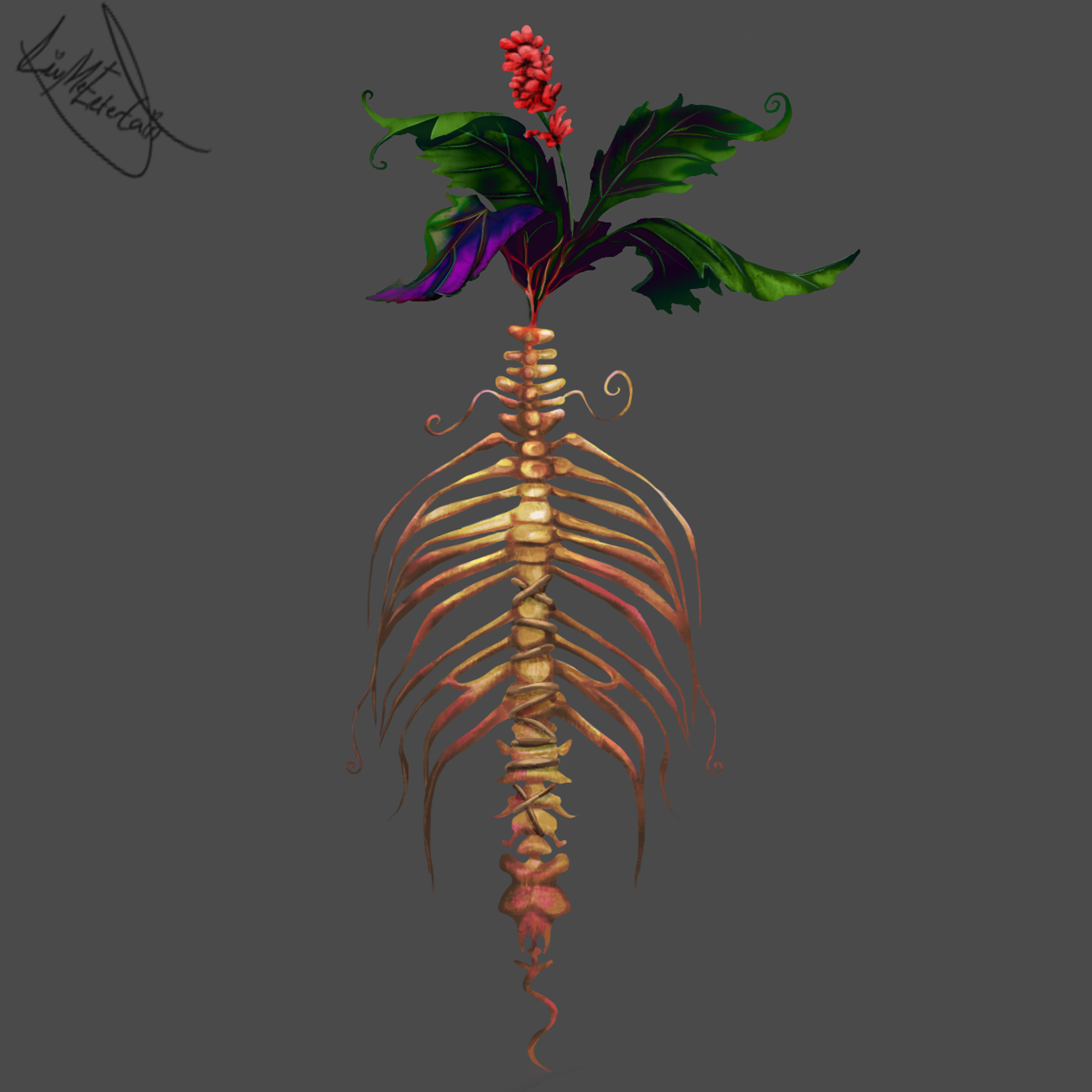 Spine root.png
