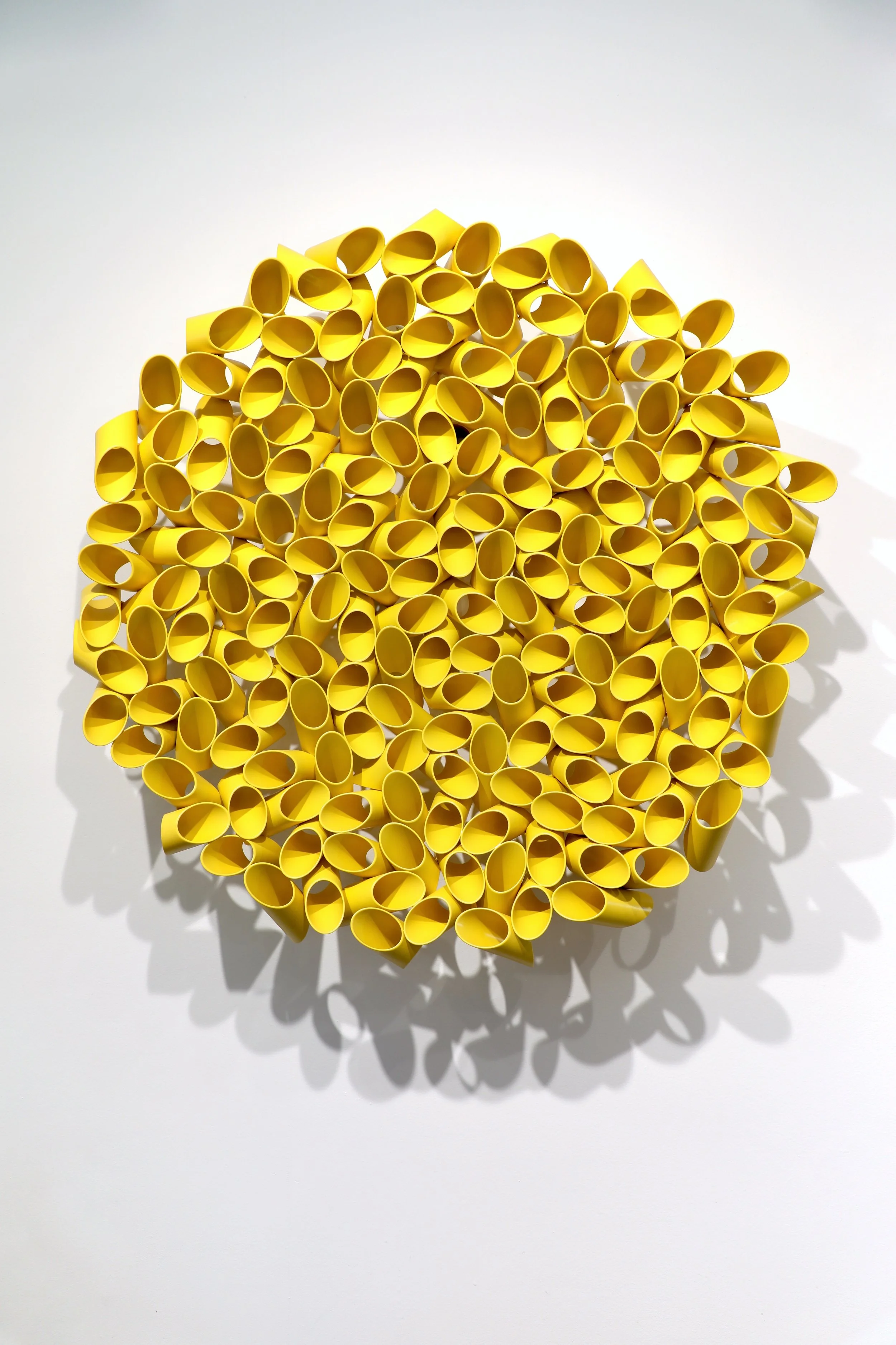 MARIGOLD, 2026