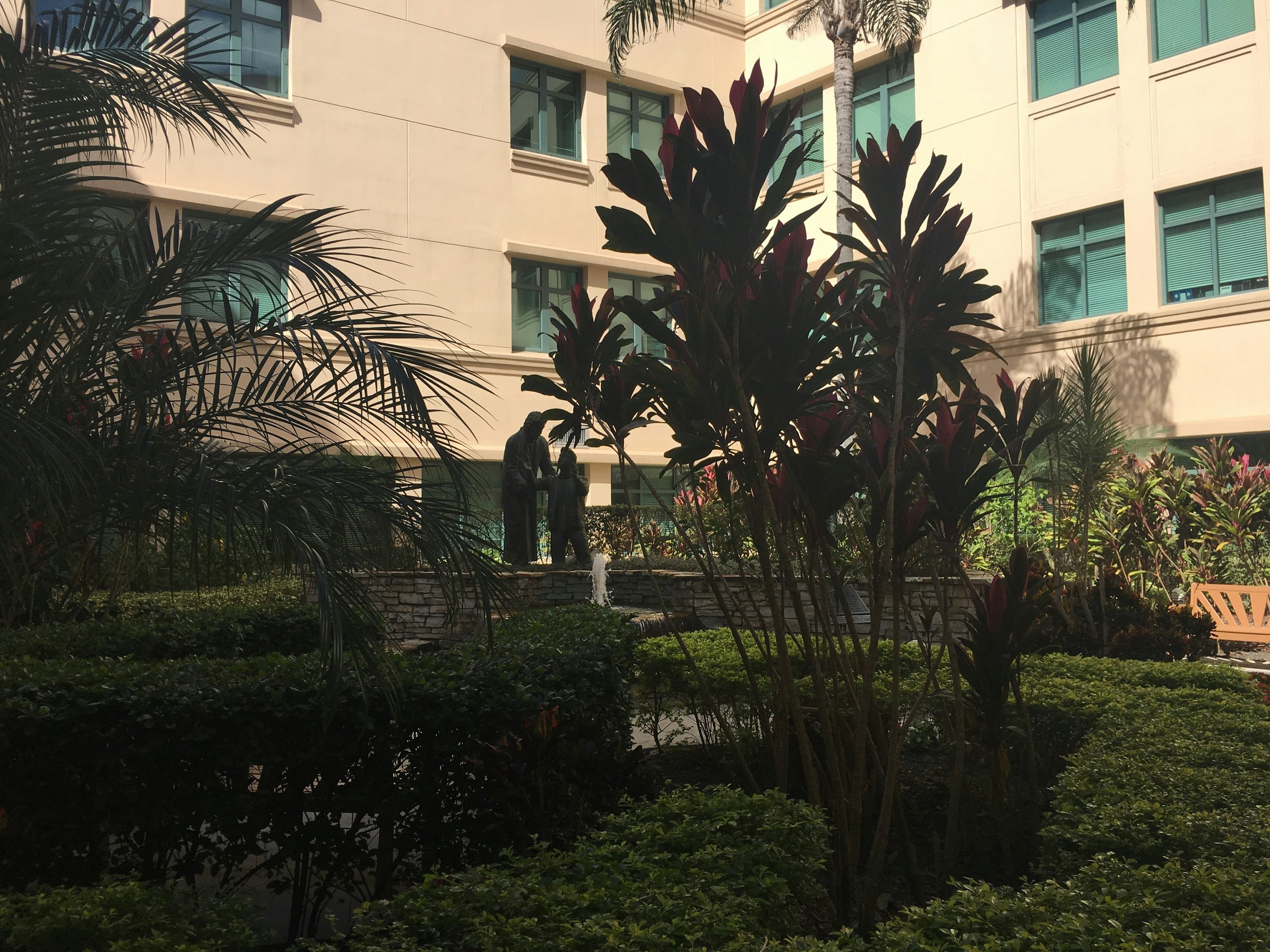 What Is a Green Hospital — and Does It Actually Make Patients Better?