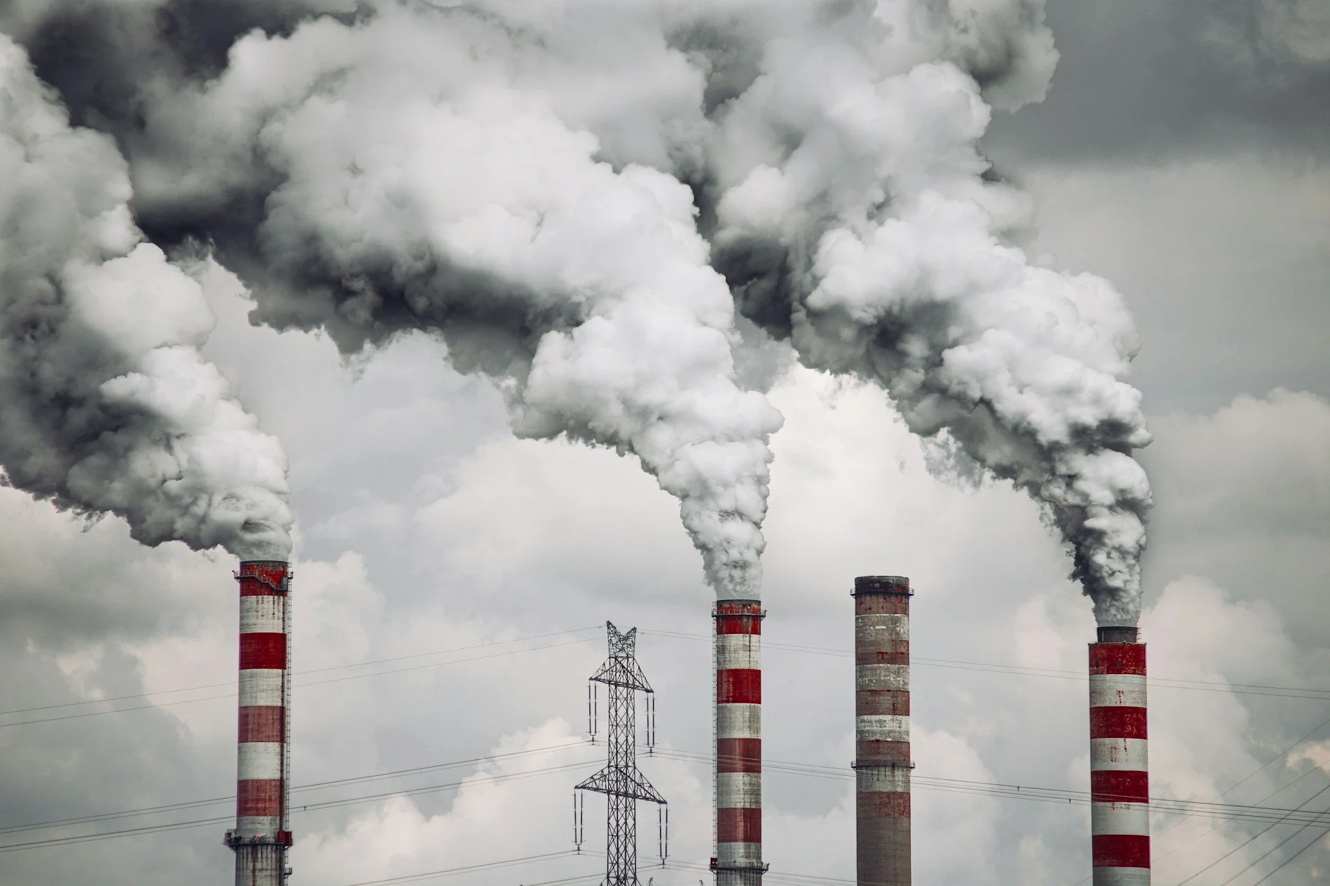 Indoor Air Quality and Healing Environments: How Building Design Affects Patient Recovery