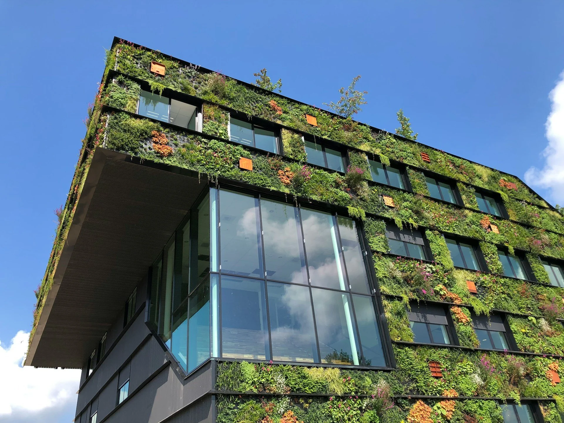 Building Green From Scratch: Lessons From LEED-Certified Facilities