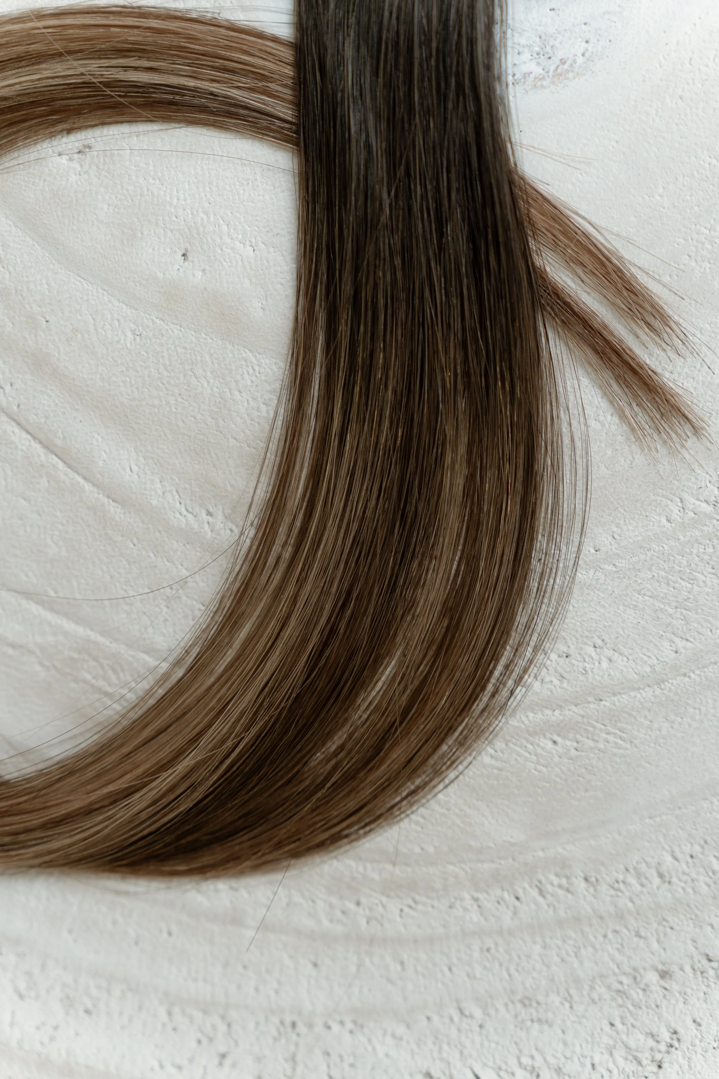 trust fund brunette 2.jpg