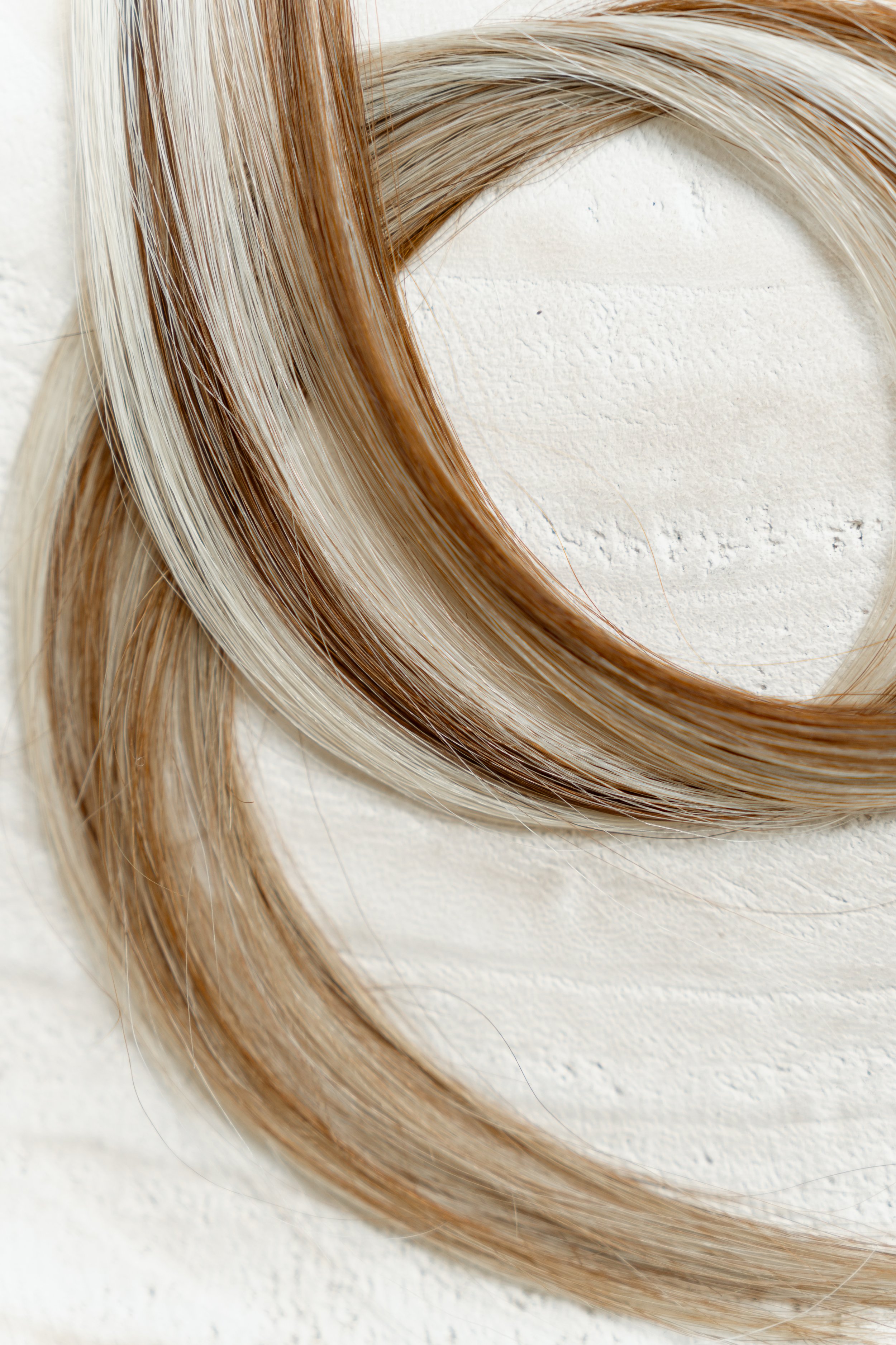 exxtension edit-148.jpg