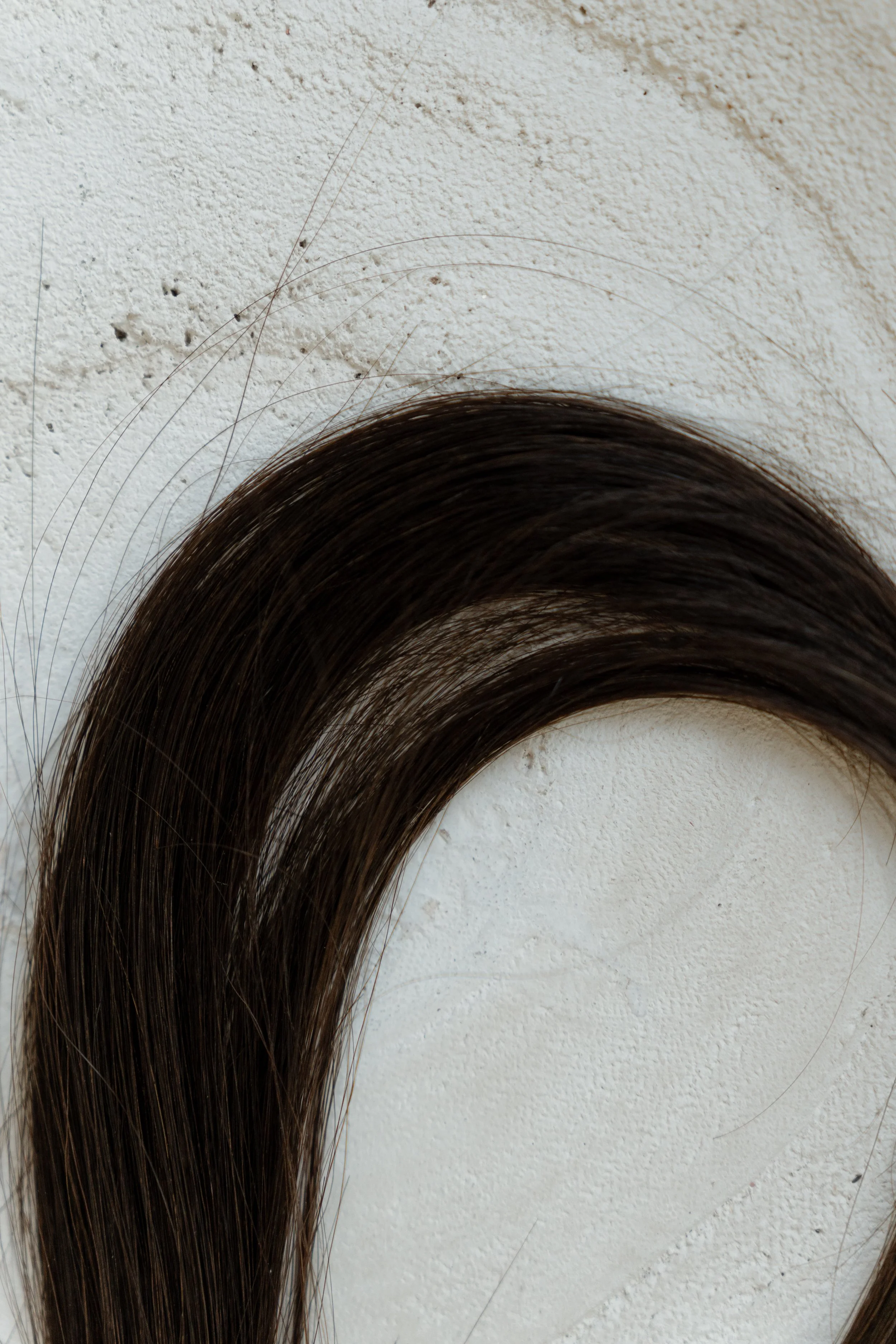 stock extensions-132.jpg