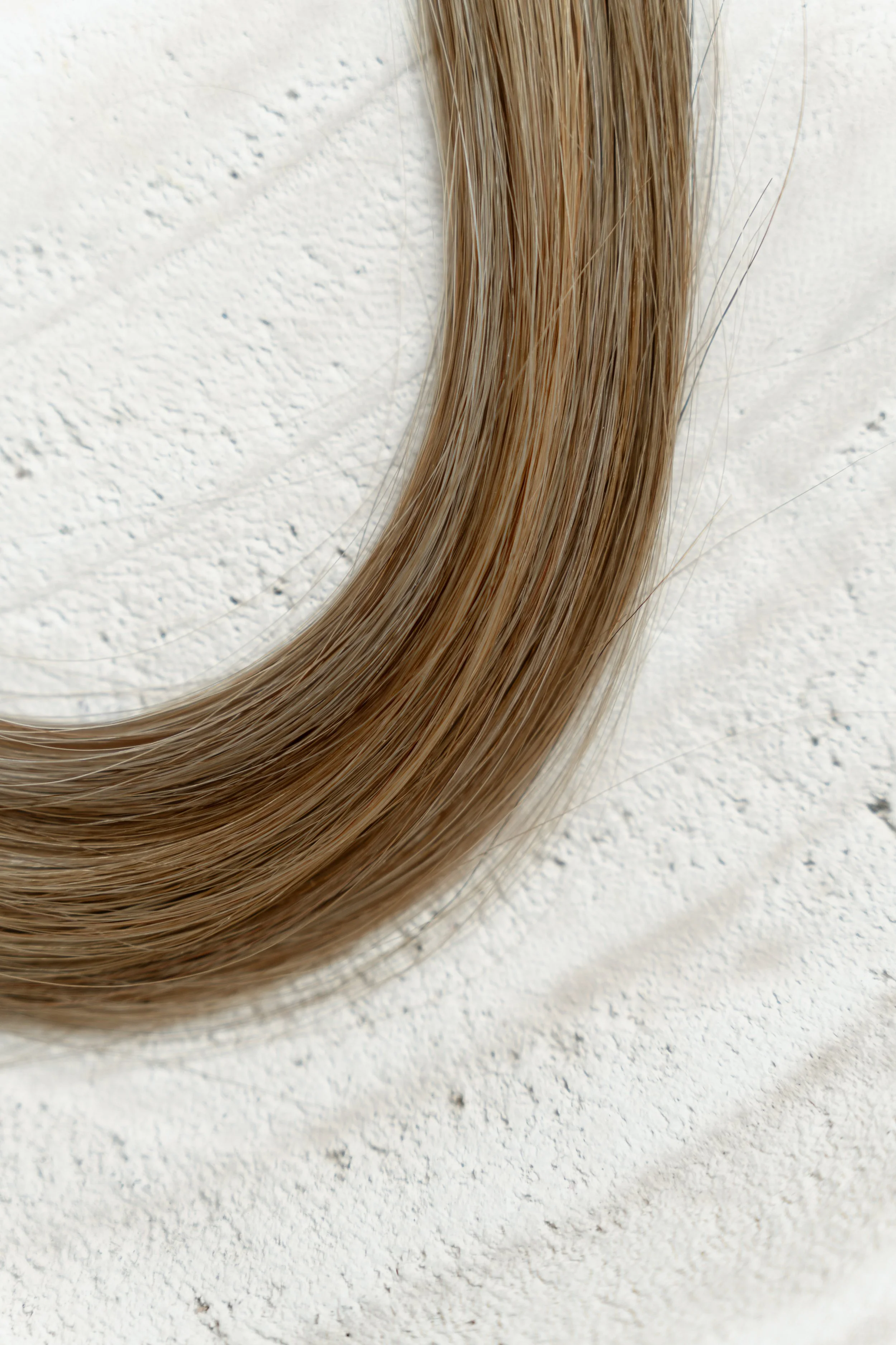 brown sugar blonde 2.jpg