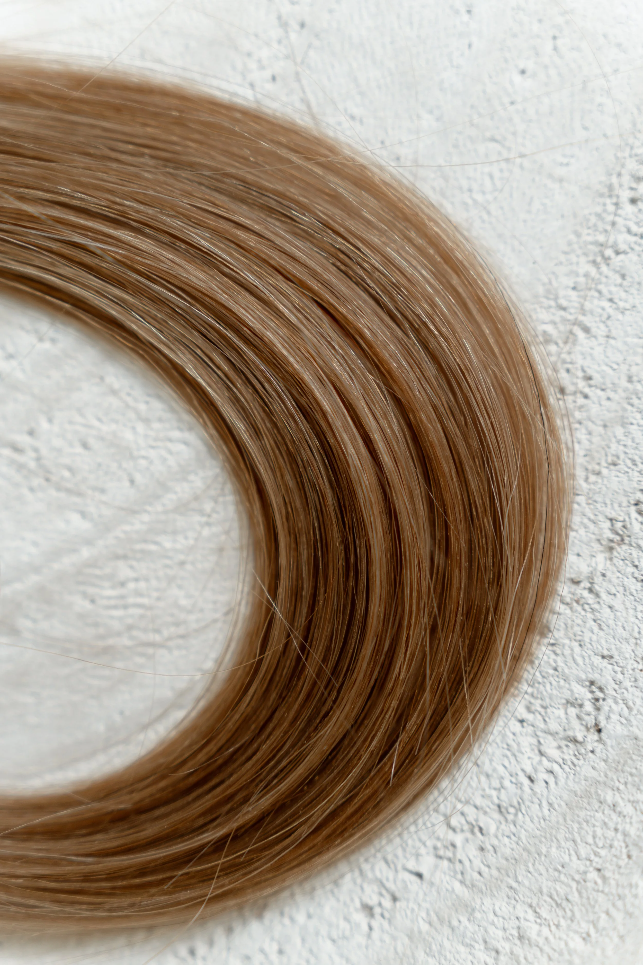 teddy bear bronde 2.jpg