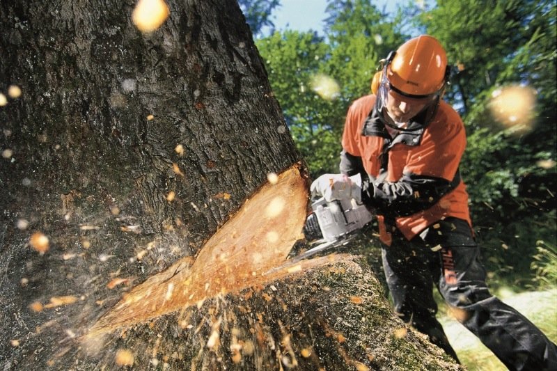 Forestry - Chainsaws Parts &amp; Service