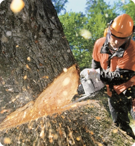 A man cutting the log with a chainsaw