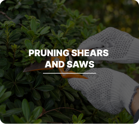 Pruning Shears and Saws