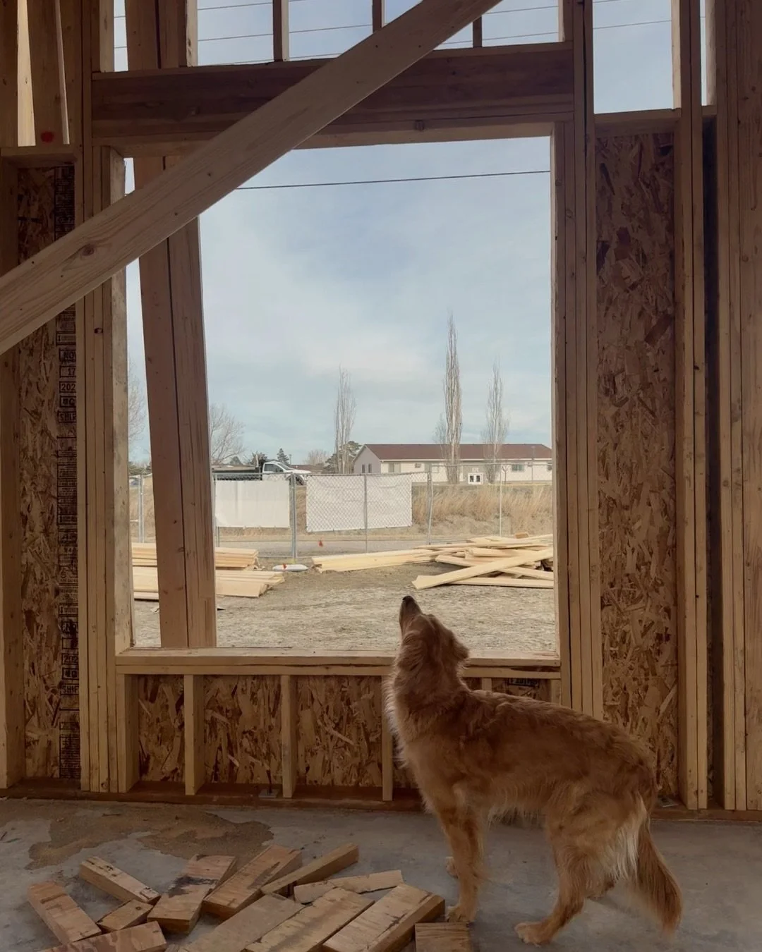 We have walls!
⠀⠀⠀⠀⠀⠀⠀⠀⠀
Seeing the Hannesson Home building begin to take shape has been an exciting milestone for our team. Each phase of construction brings a new layer of decision making&mdash;thinking through layout adjustments, material selectio