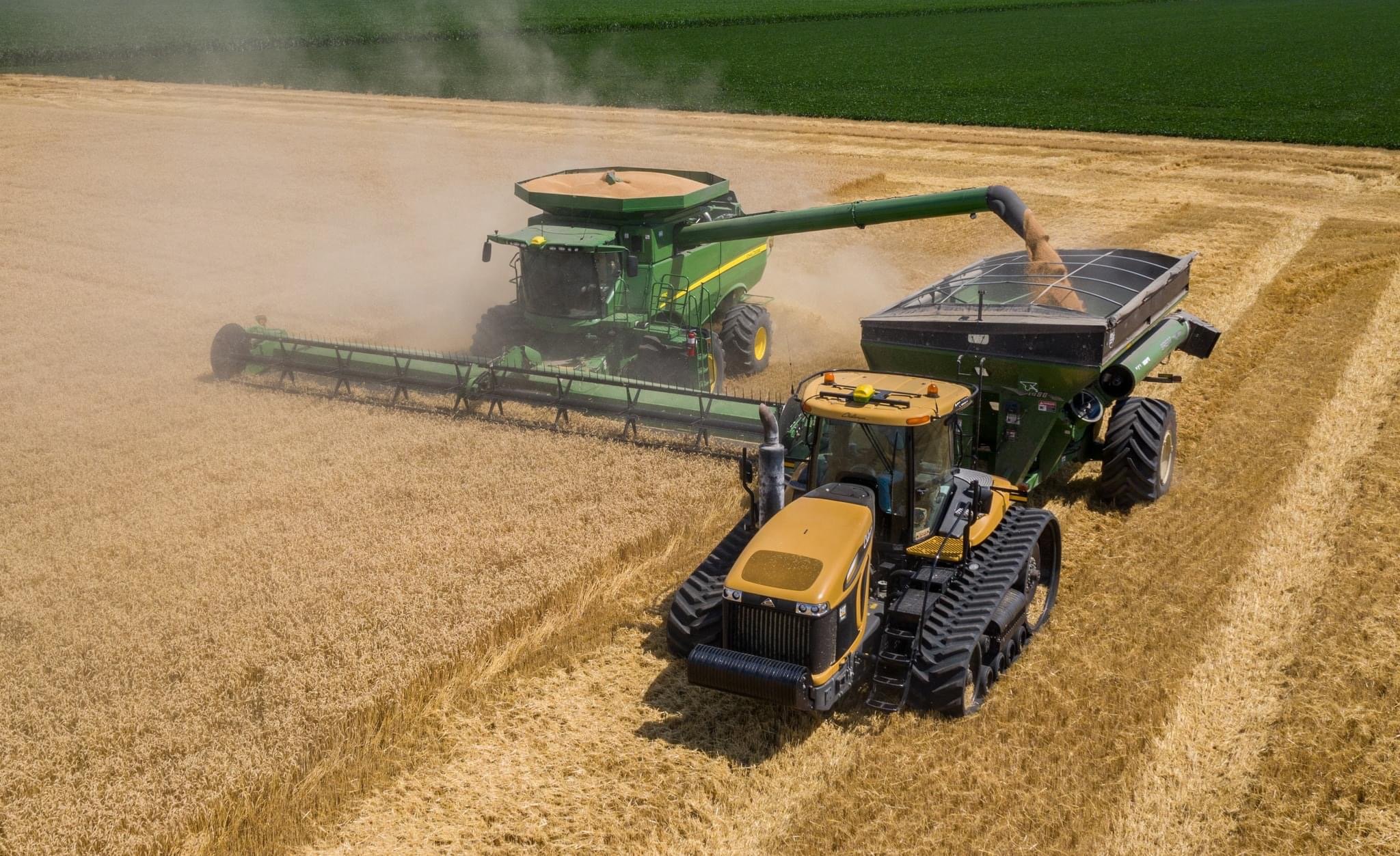 Combine unloading soybeans into a grain cart during harvest