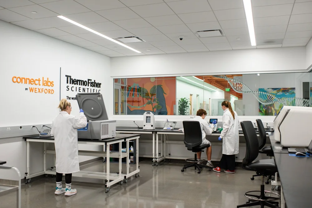 Phoenix — Connect Labs by Wexford