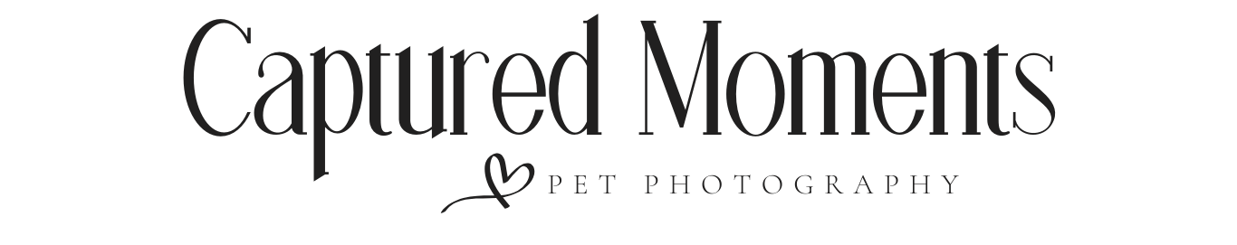 Captured Moments Pet Photography