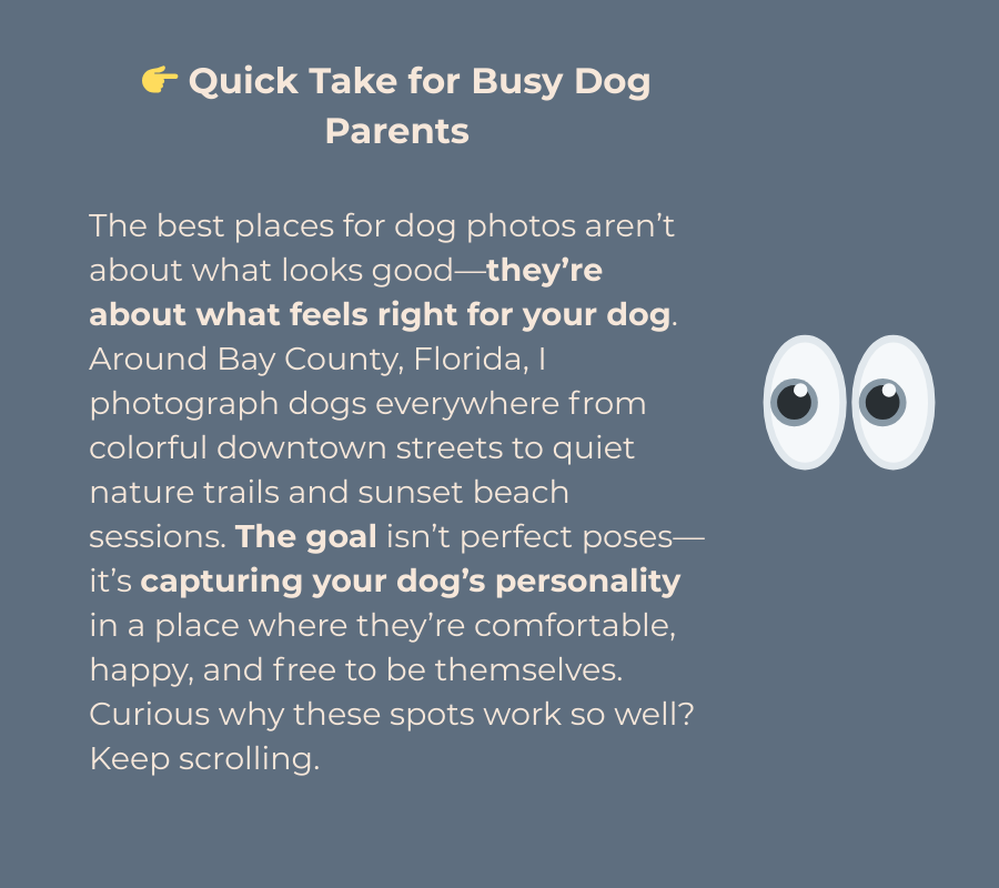 The best place to photograph your dog is where they're comfortable and your catch their personality