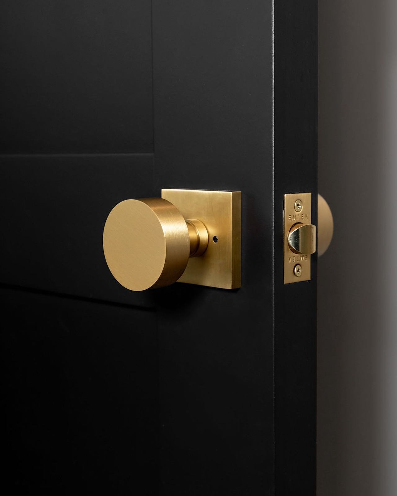The best designs happen when clients trust the process. My clients were a bit nervous about moving forward with black doors but they are so happy we did. The way the brass hardware pops against that black 👌✨