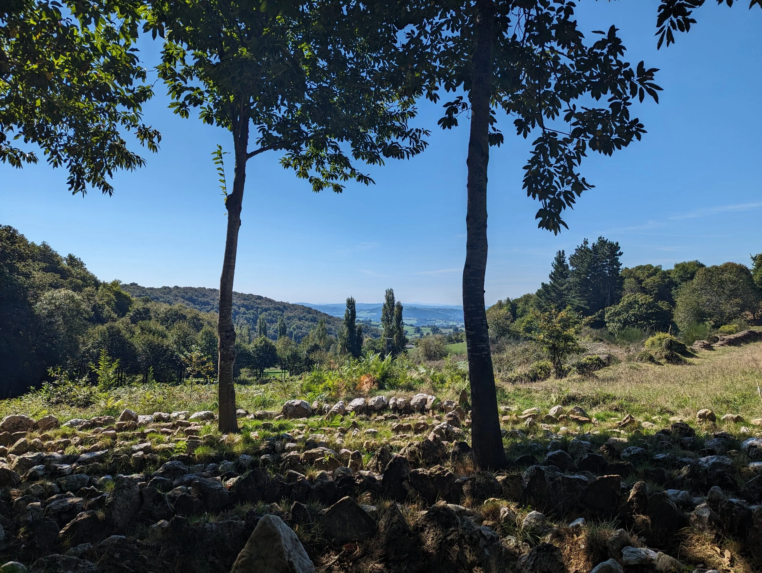 When the Light Thins: A Camino Map for Inner Change