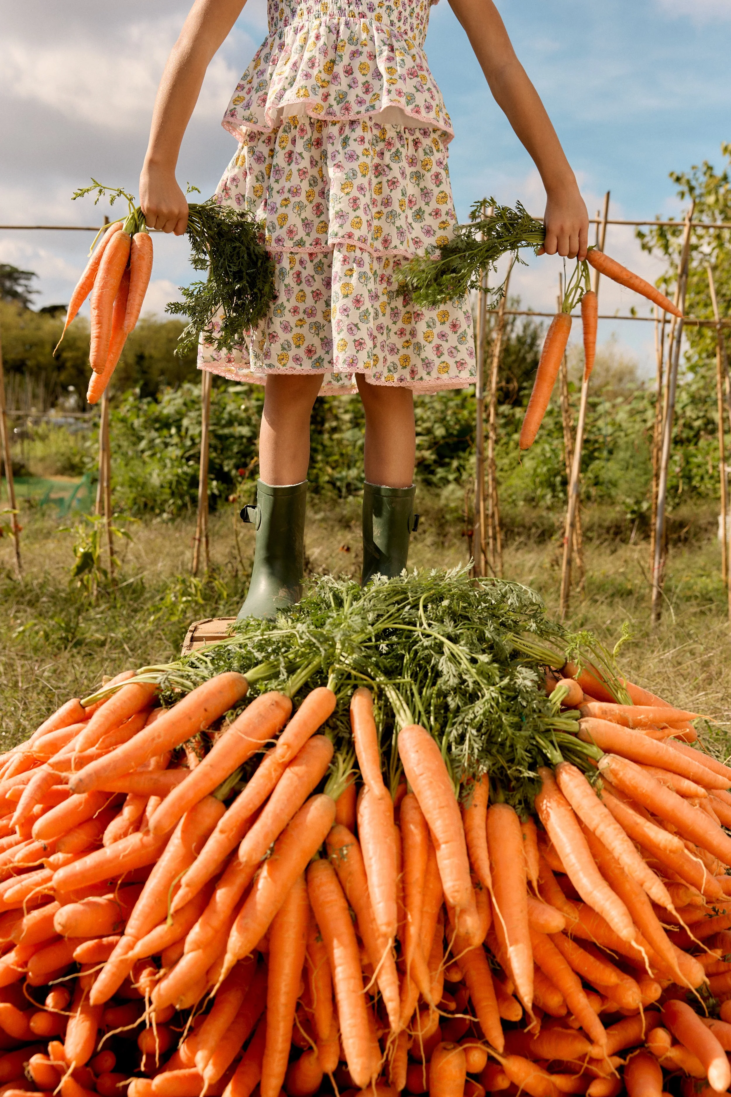 MINI BODEN - MR. McGREGOR´S GARDEN