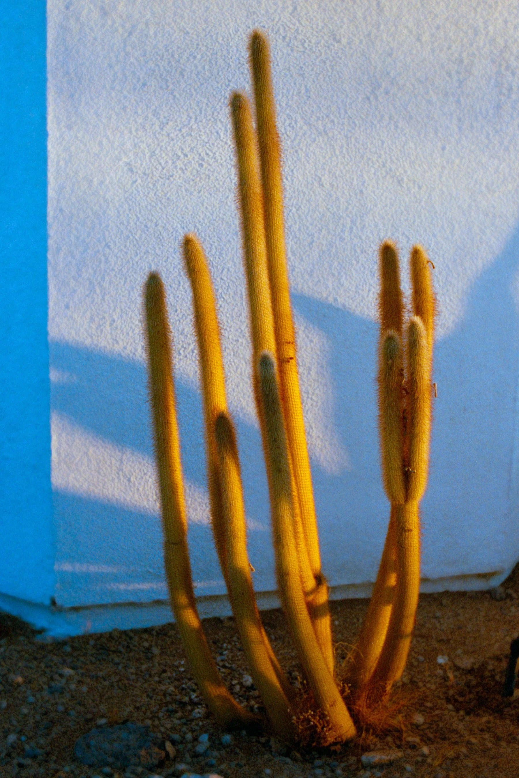 Image 8 (4)-Edit.jpg