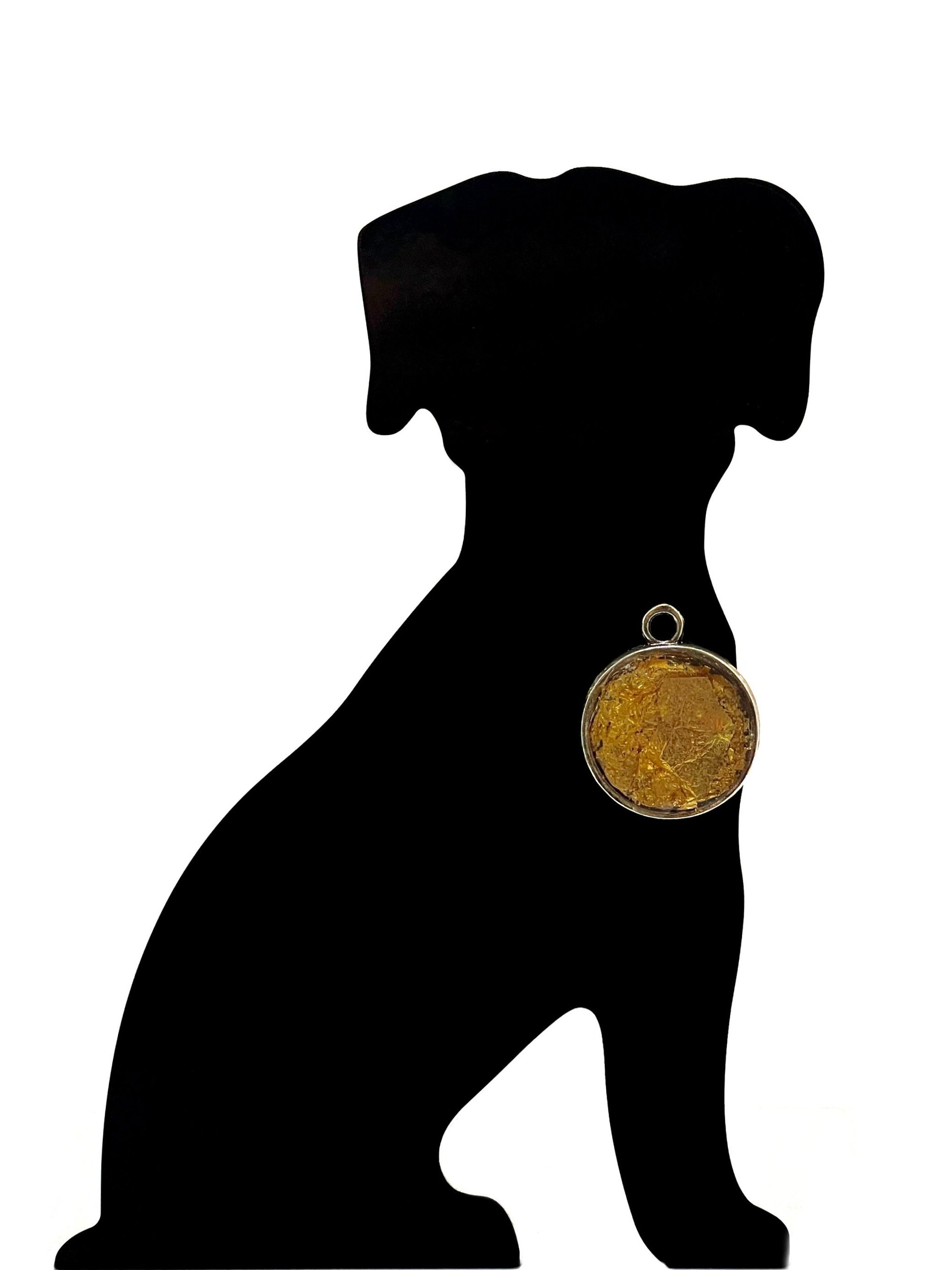 Hund%2B4.jpg