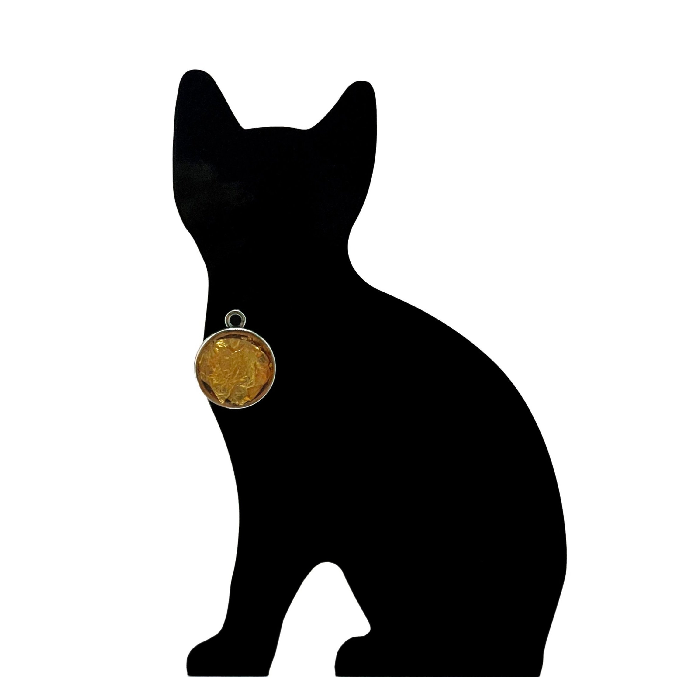 Cat+1.jpg