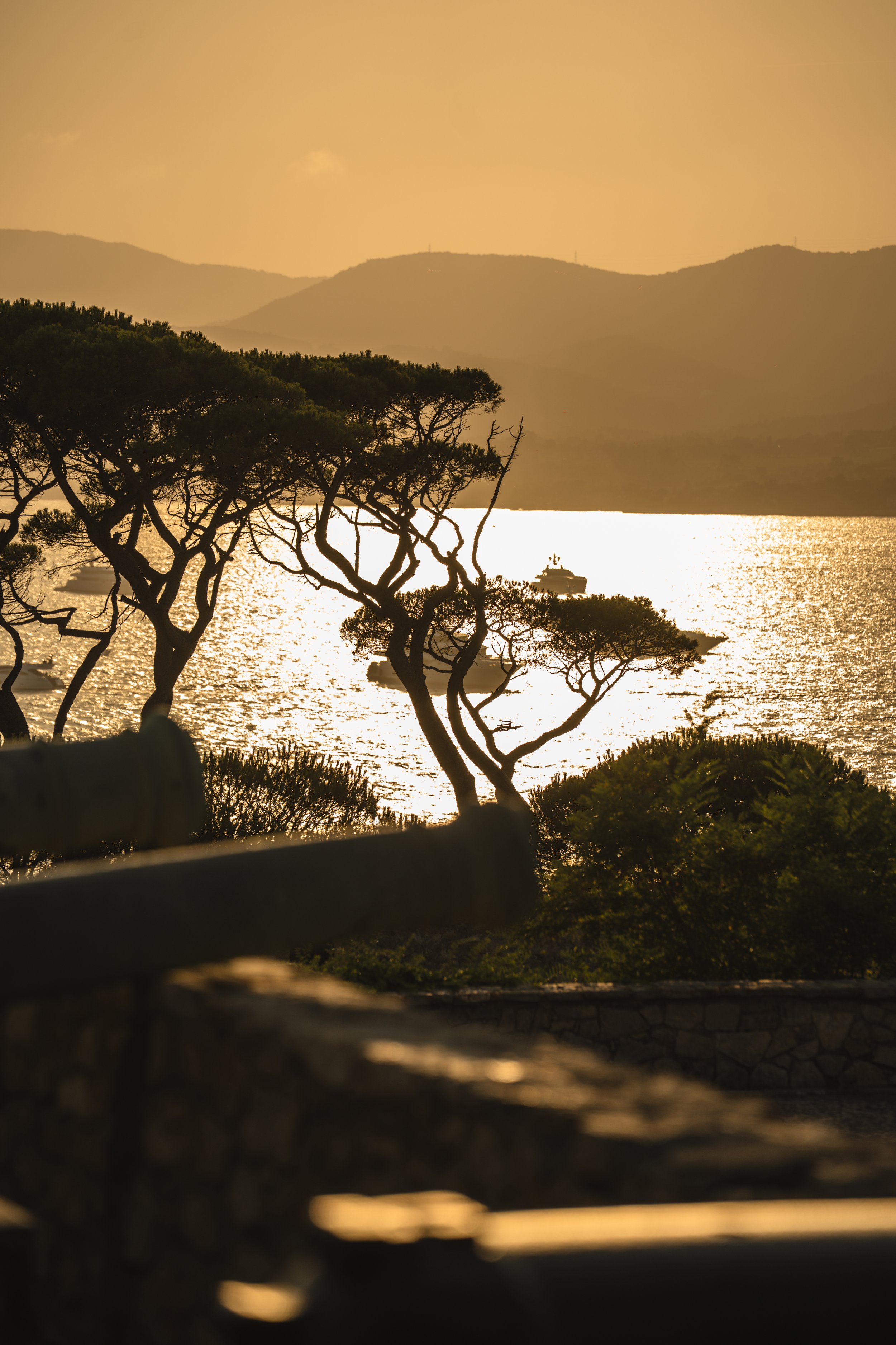 Photo 17-06-2025 19 53 16.jpg