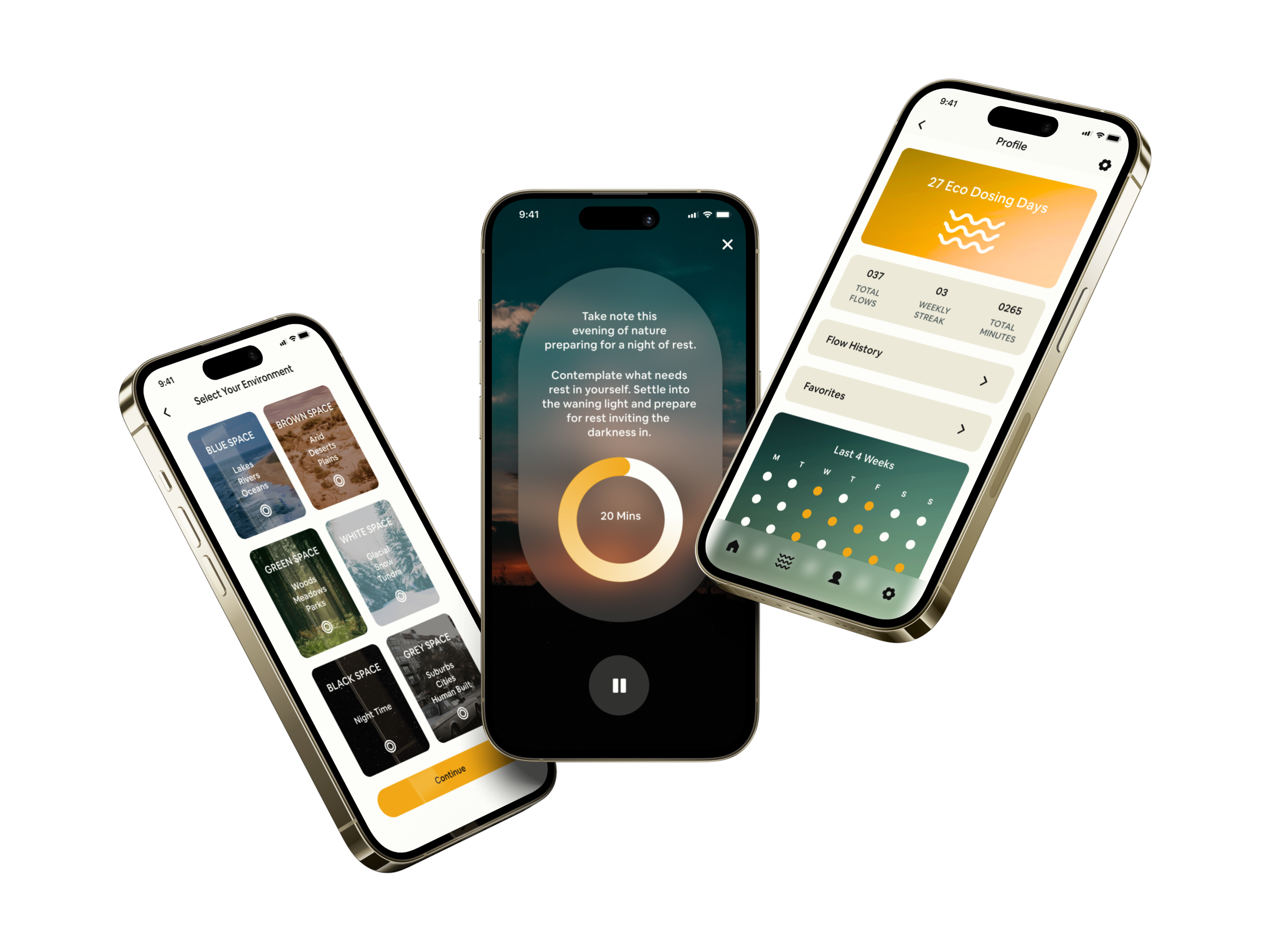 Eco Application Case Study