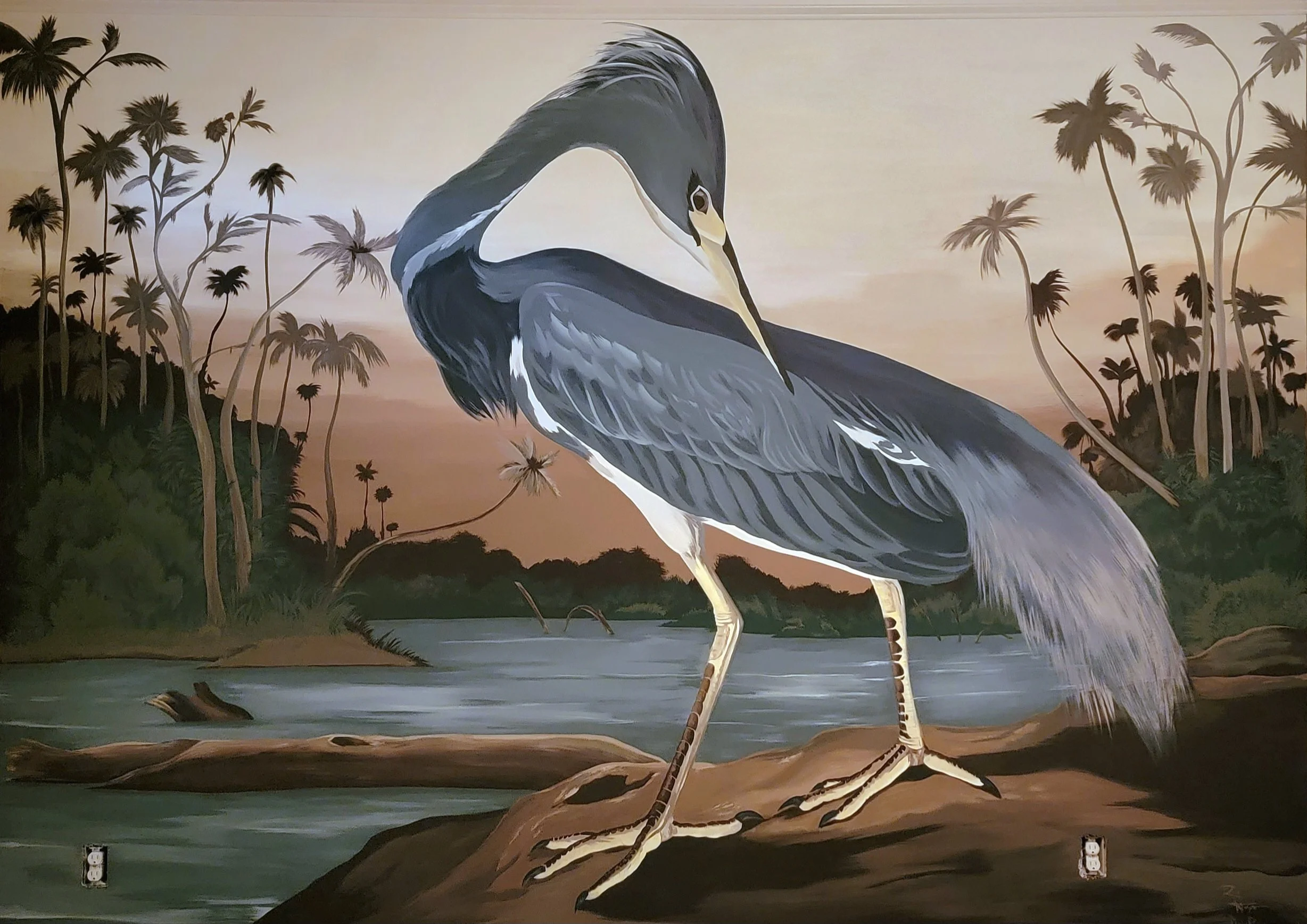 Gray Heron.jpg