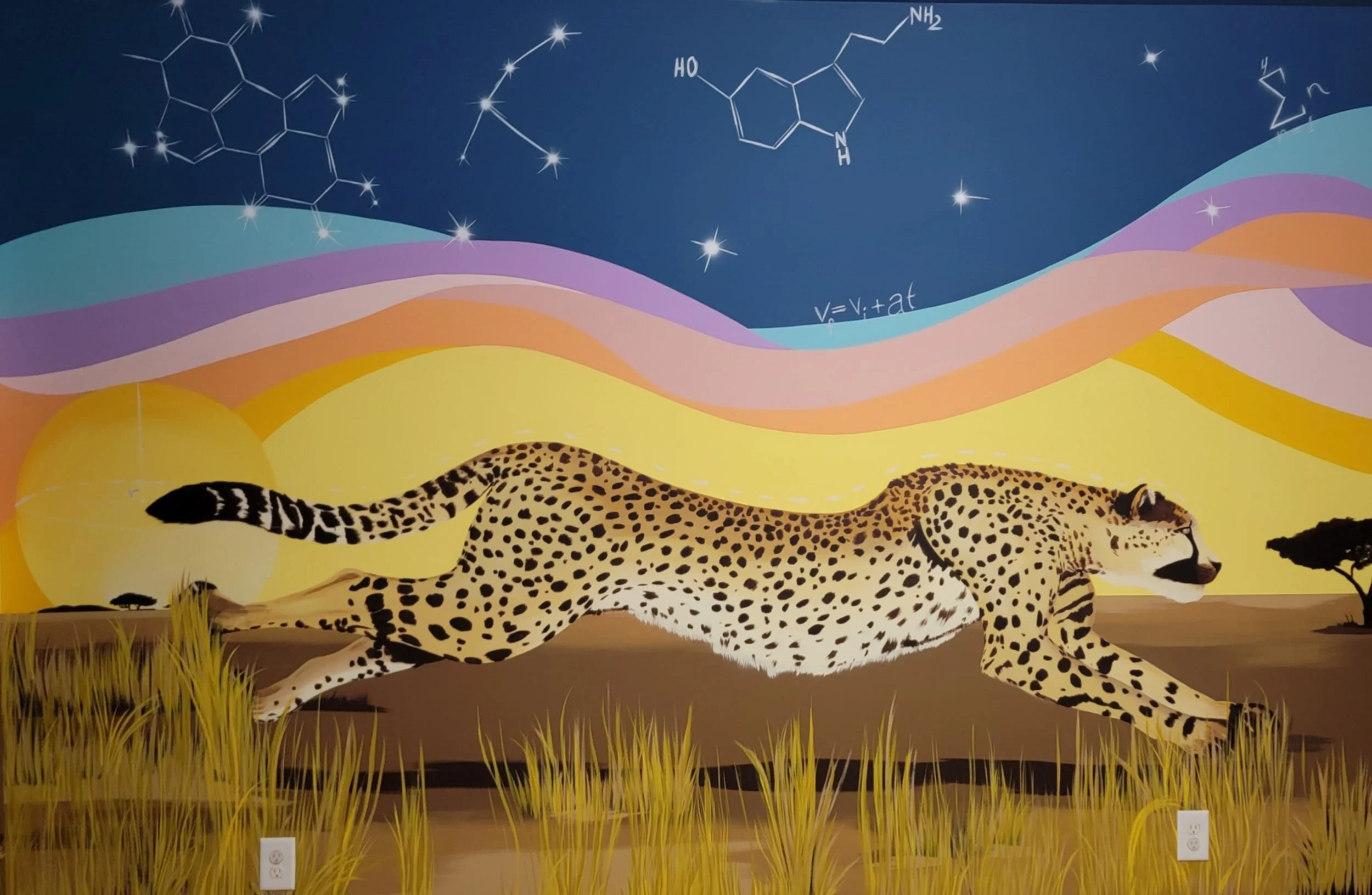 Cheetah dream.jpg