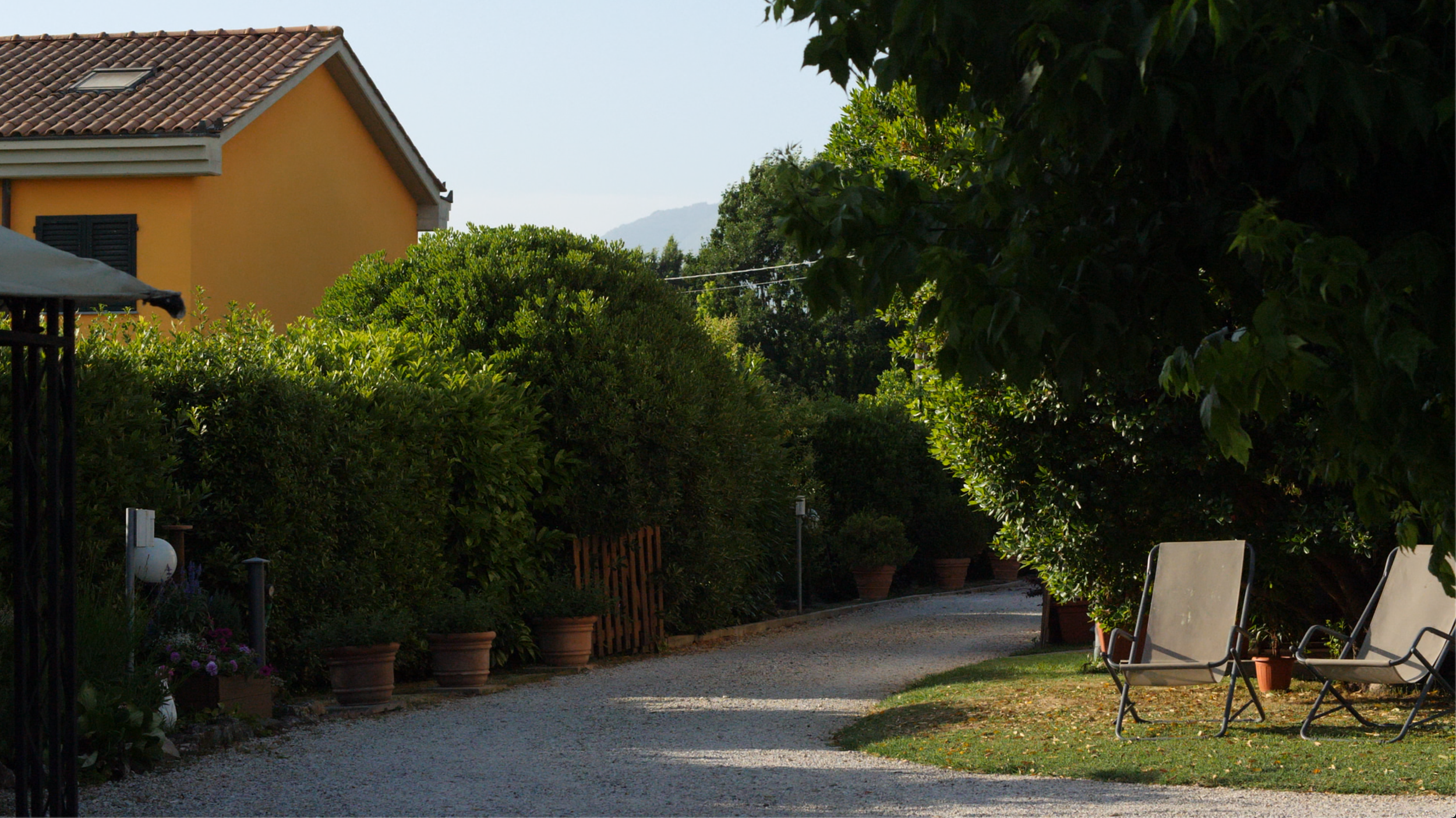 Two Chairs Backyard.png