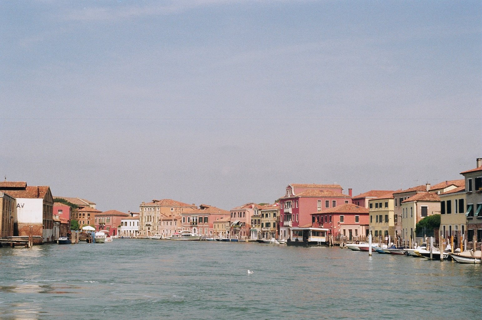Venice Film Color Film.JPG