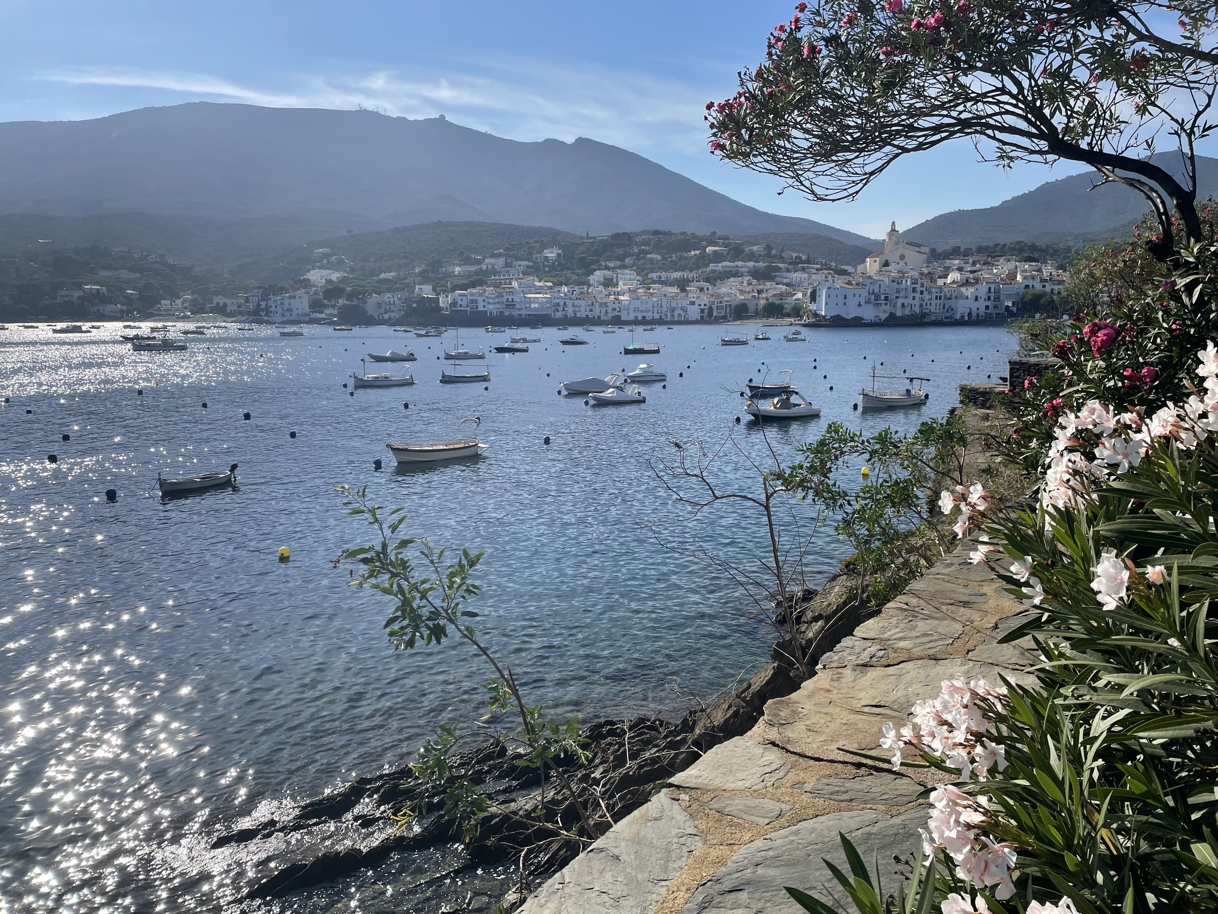 member photo in Spain