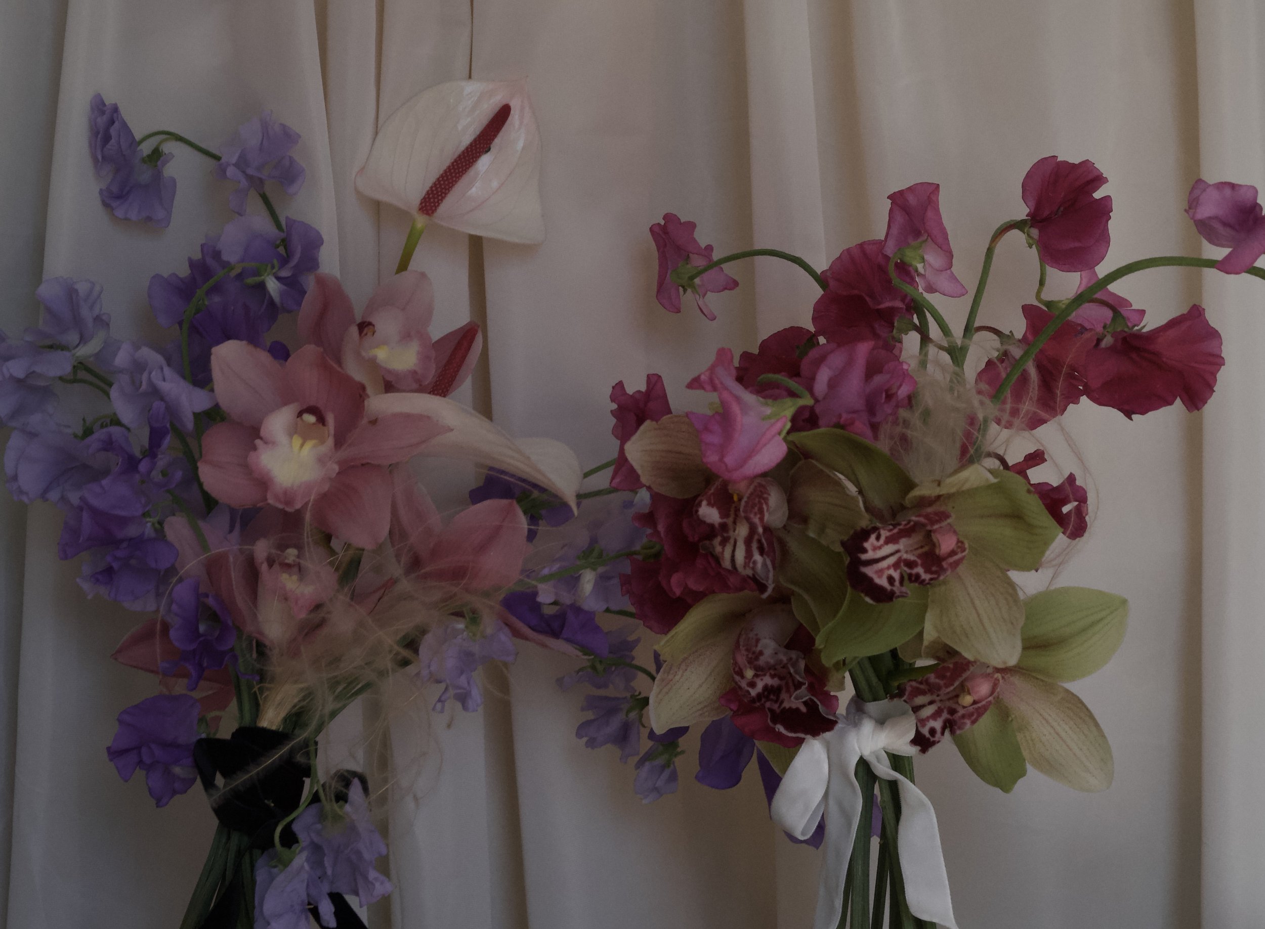 DSC03712.jpeg