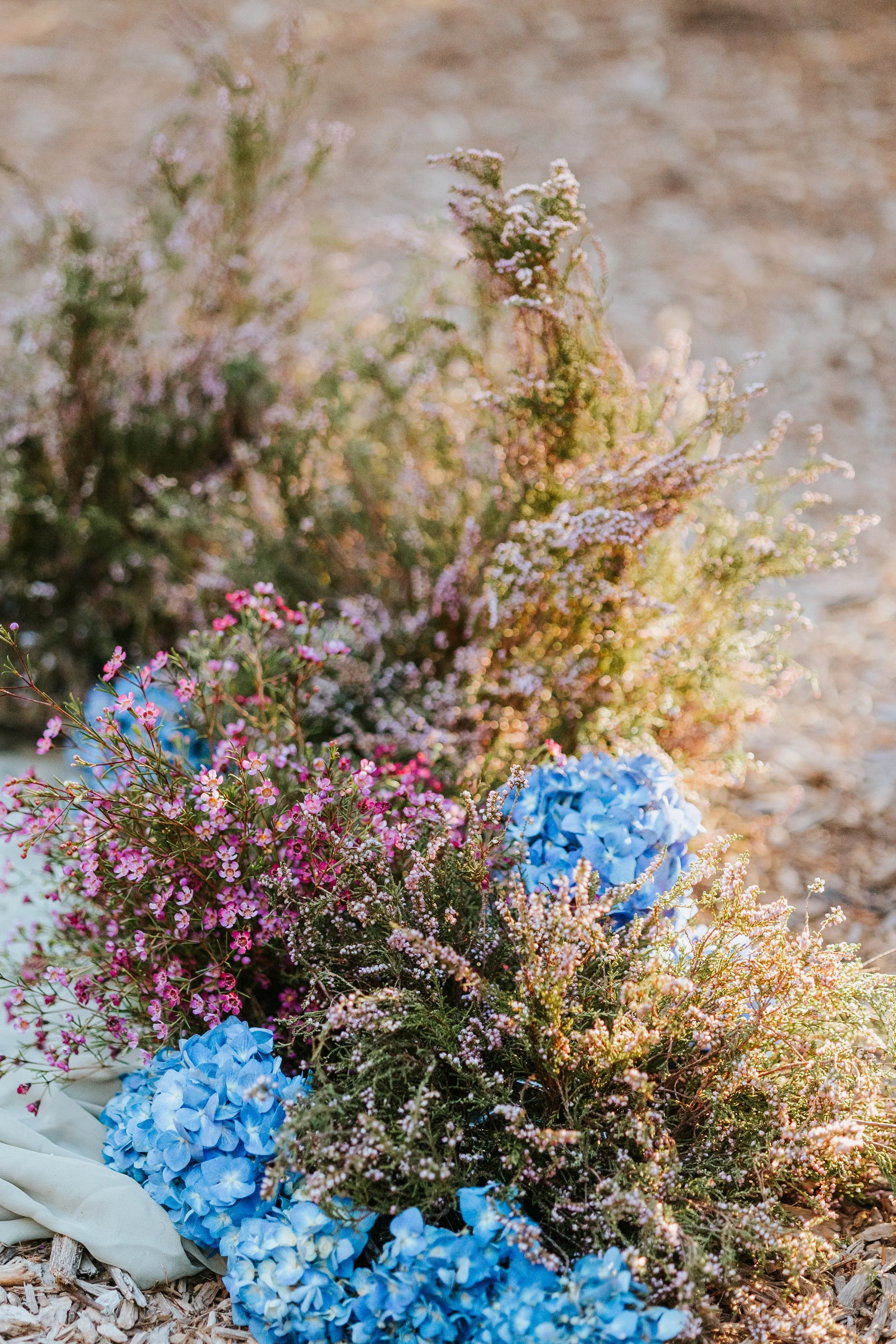 ArdenCattProposal_0052 (1).jpg