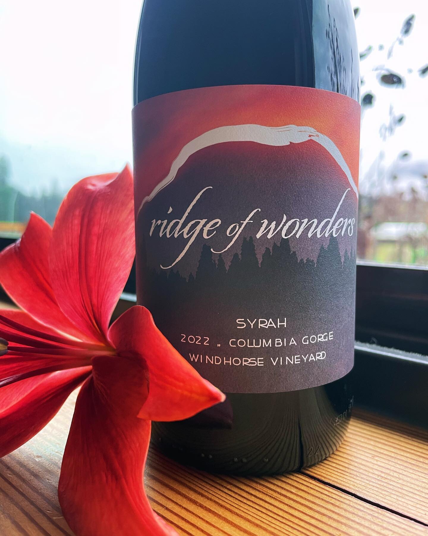 Tuesday, 12/12 at Riverside Restaurant in Hood River! 
2 for 1 Pasta night!
1/2 price on bottles of wine!
Come enjoy a glass of the new Syrah from Windhorse Vineyard with me&hellip;
#womeninwine #womeninwinemaking #highelevationvineyards #syrah #gorg