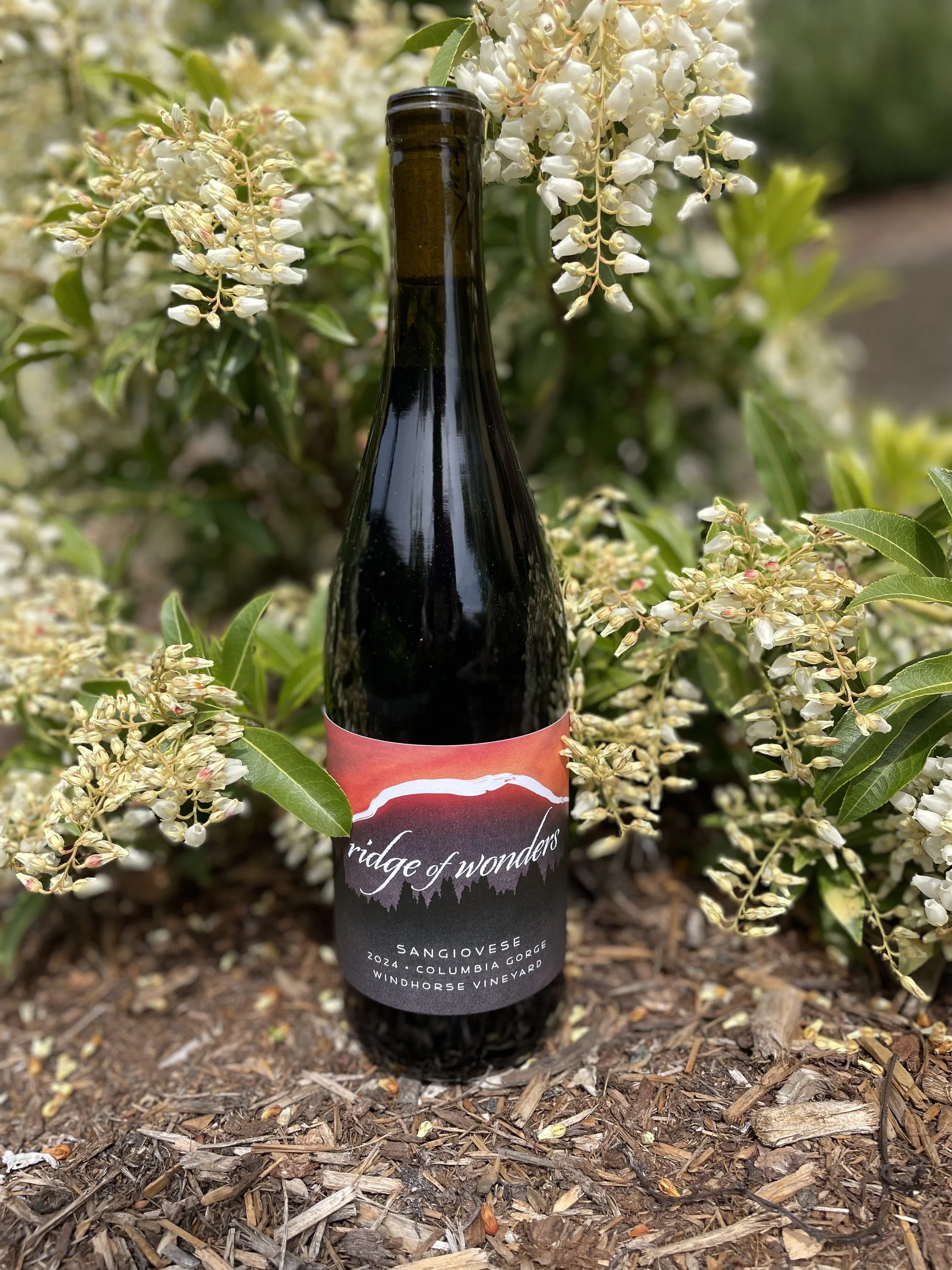 2024 Sangiovese