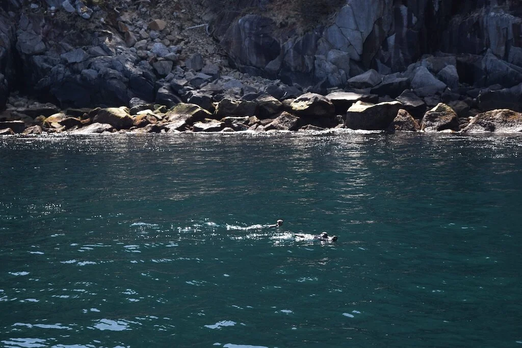 Calm teal water beneath a dark rocky shoreline in the Kenai Fjords in Alaska, for introverts recovering after a trip.