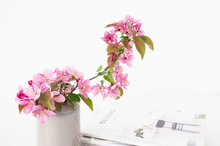 Pink blossoms in a small vase beside a stack of books, a gentle gesture of support for a friend.