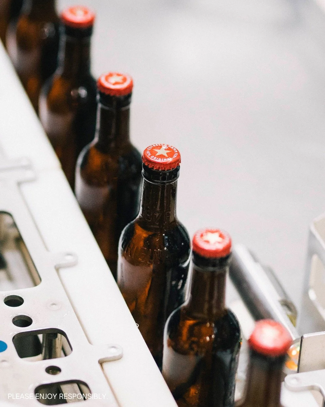 Pourquoi avons-nous une cat&eacute;gorie Prix du meilleur service, pr&eacute;sent&eacute;e par Estrella Damm ?
Ce prix, ouvert &agrave; toute personne ayant occup&eacute; un emploi de serveur, commis de salle, ma&icirc;tre d&rsquo;h&ocirc;tel, h&ocir