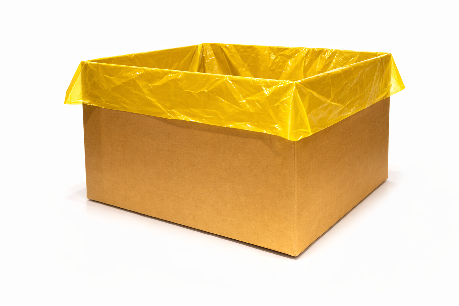 ChatGPT Image Mar 2, 2026, 09_52_49 AM.png