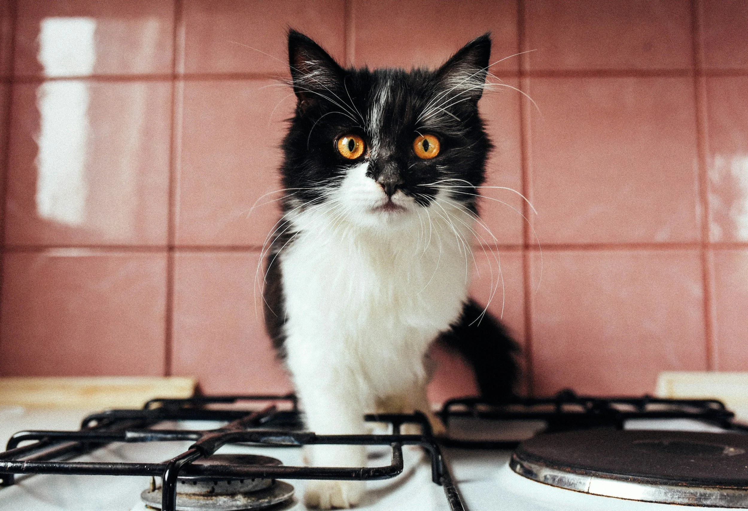 When Minor Burns Need Urgent Care: Know Before You Go