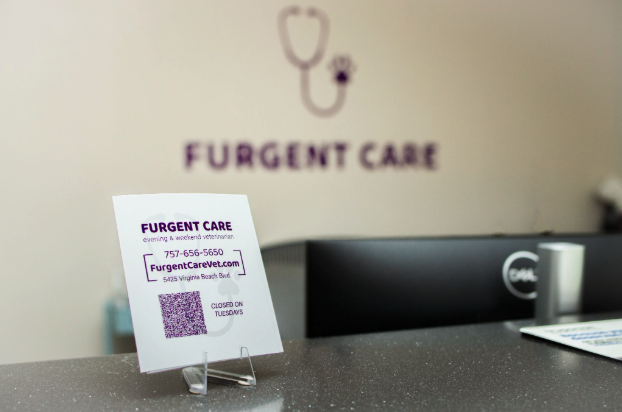 How We Keep Your Pet's Primary Vet in the Loop After Every Furgent Care Visit&nbsp;