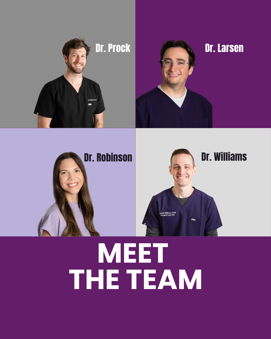 Meet The Team!