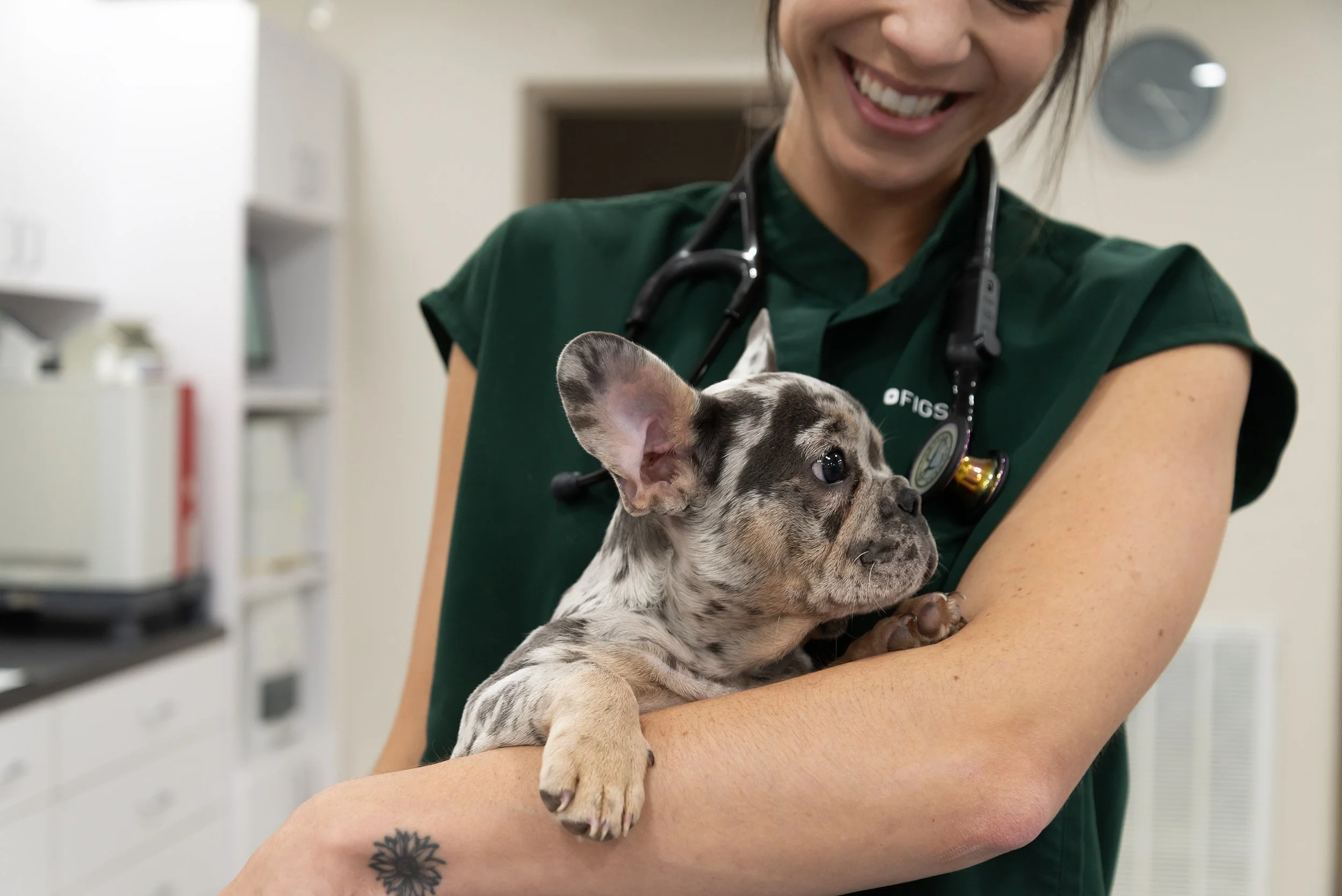 Furgent Care Vet