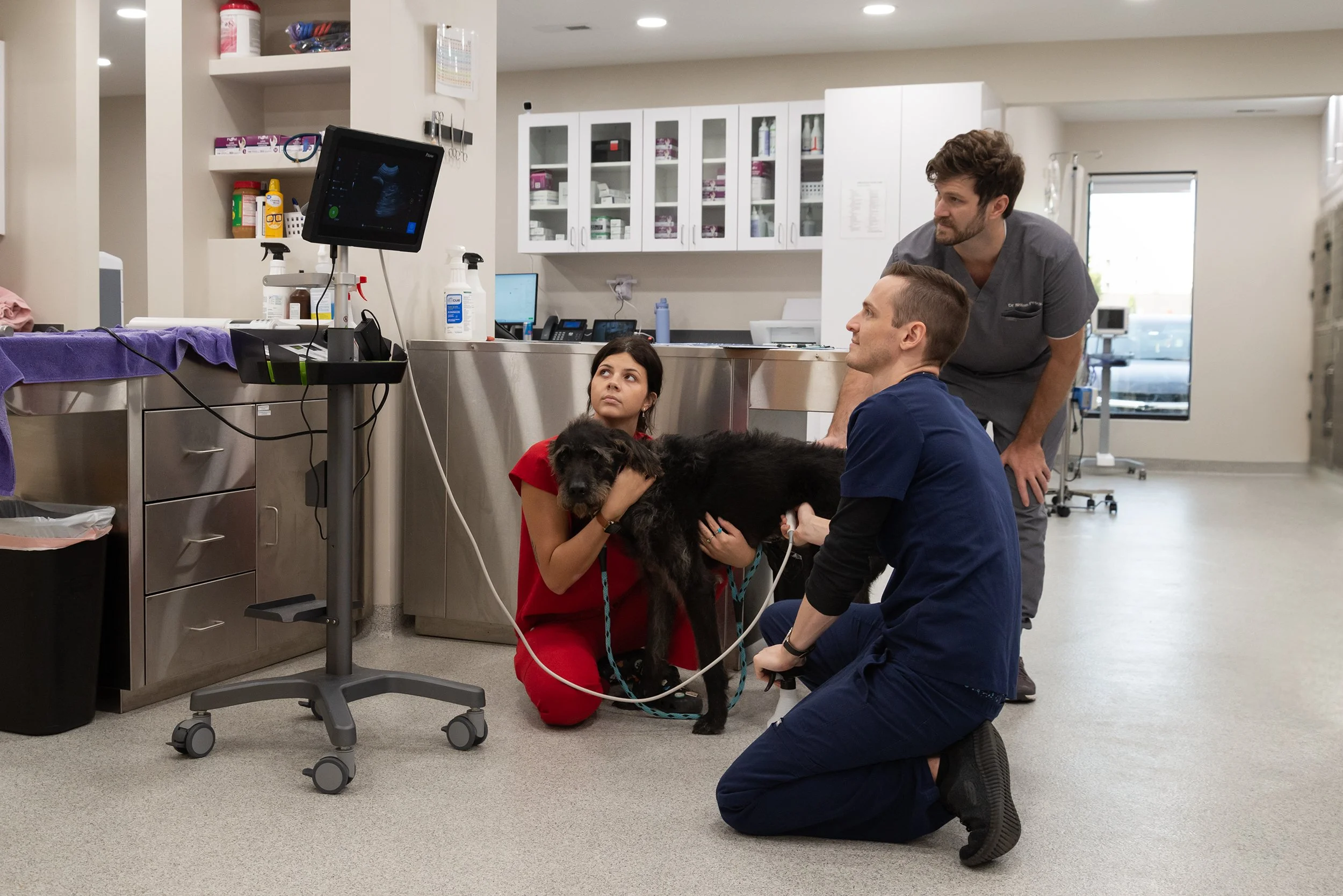 Furgent Care Vet