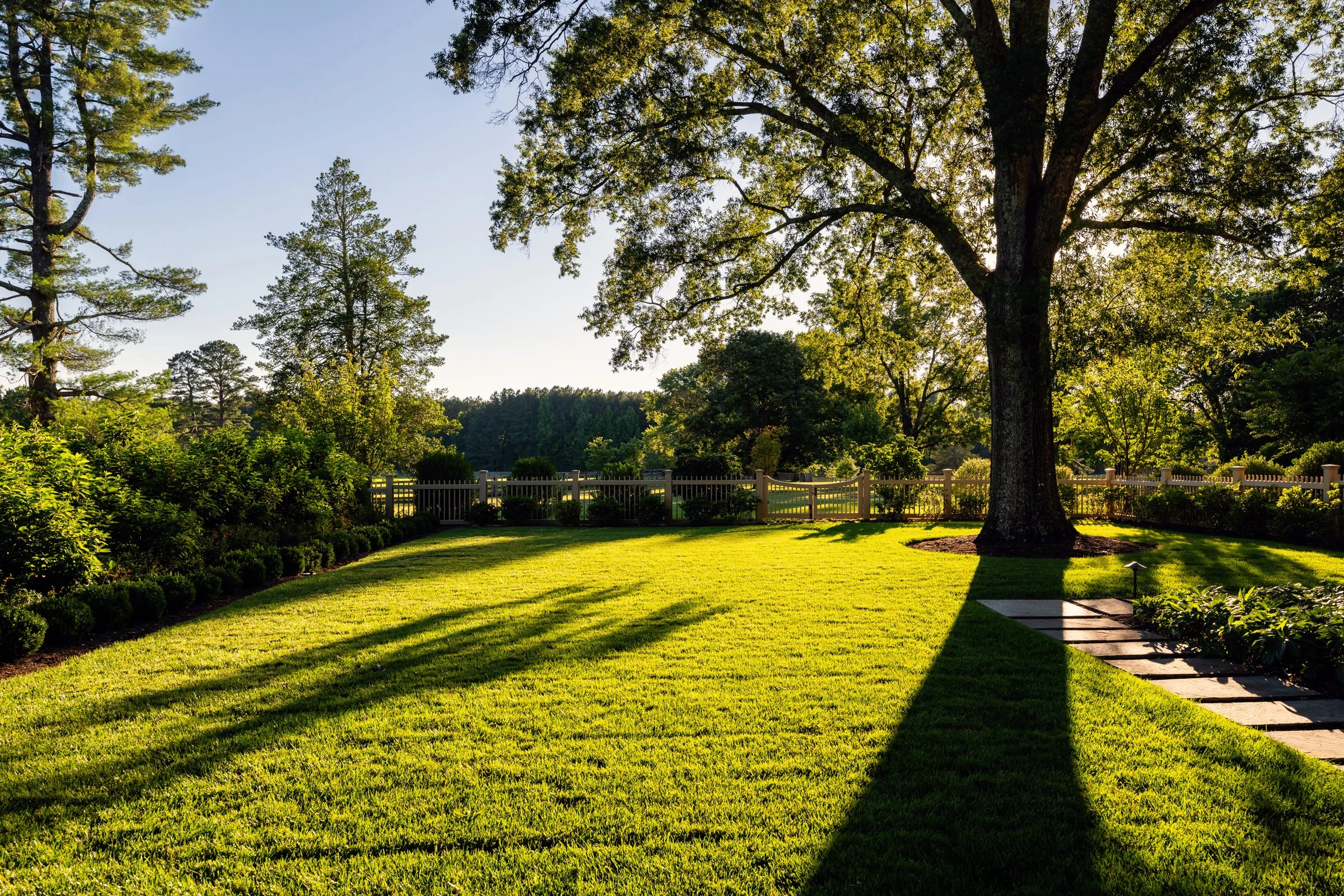 Serene landscape