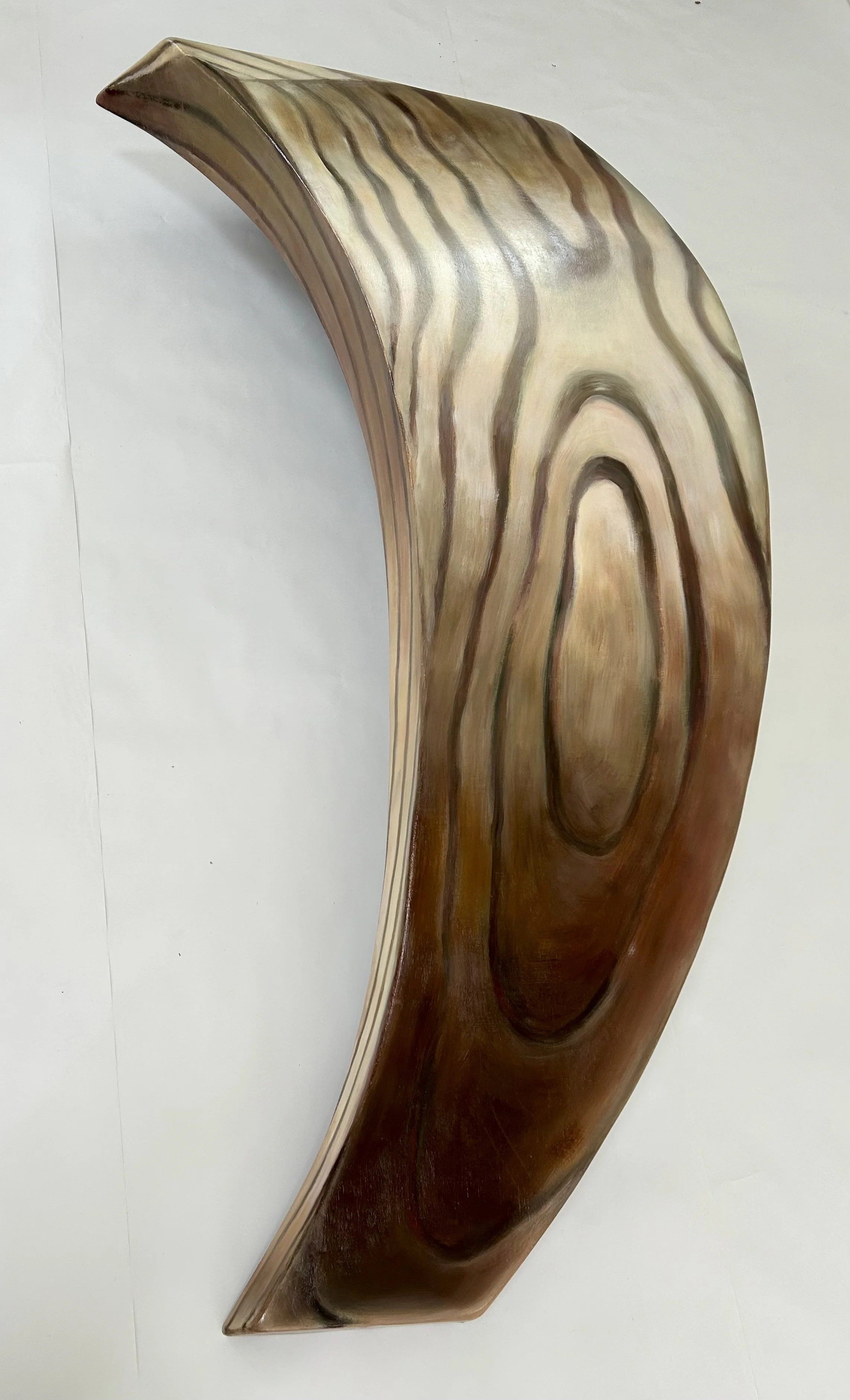 Plank, 71"x 32"x12, acrylic on wood, 1989