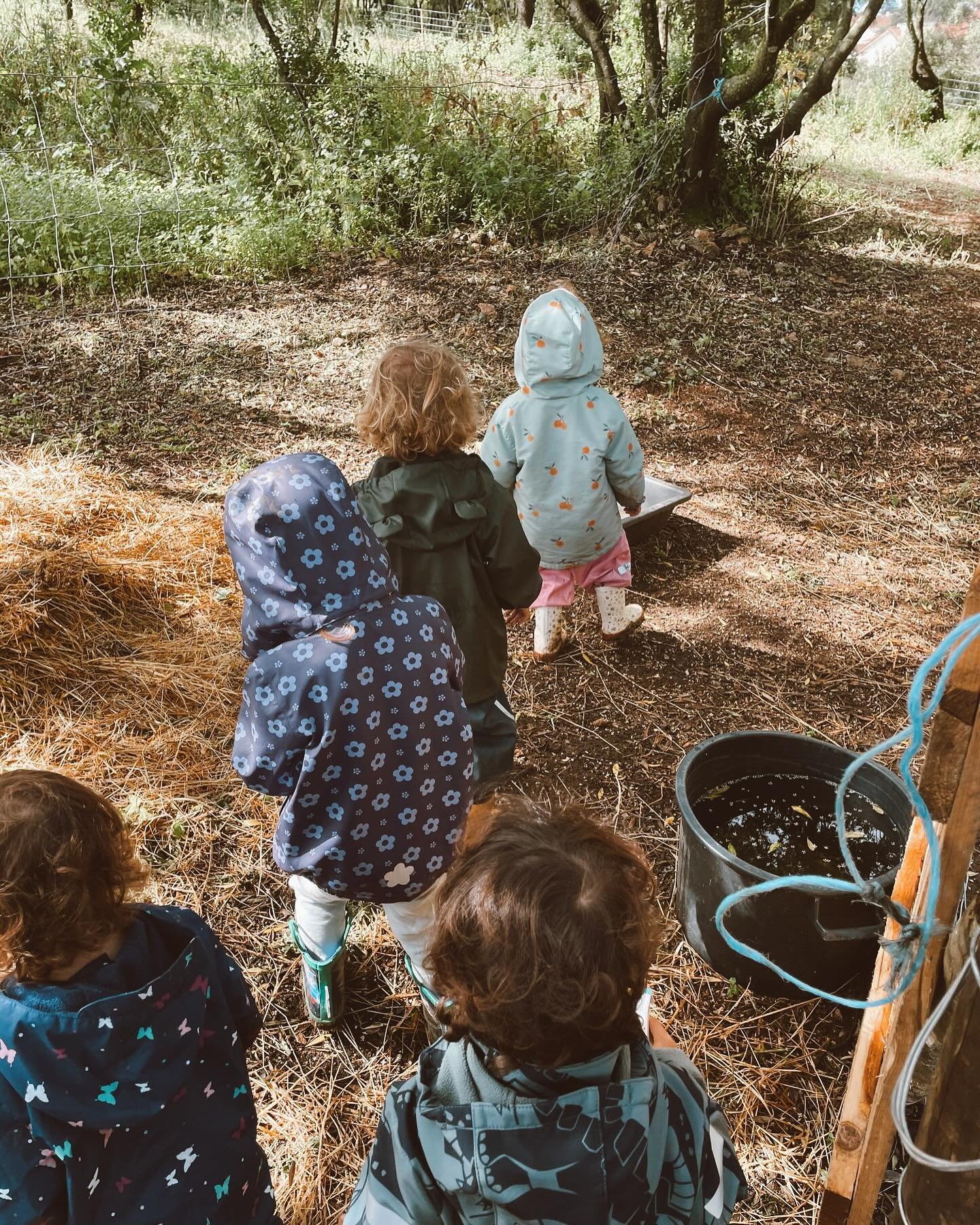 We dig, we run, we laugh, we play &mdash; life&rsquo;s just better the Wald&rsquo;s way!😉
__
Cavamos, corremos, rimos, brincamos &mdash; a vida &eacute; simplesmente melhor &agrave; maneira da Wald!😉