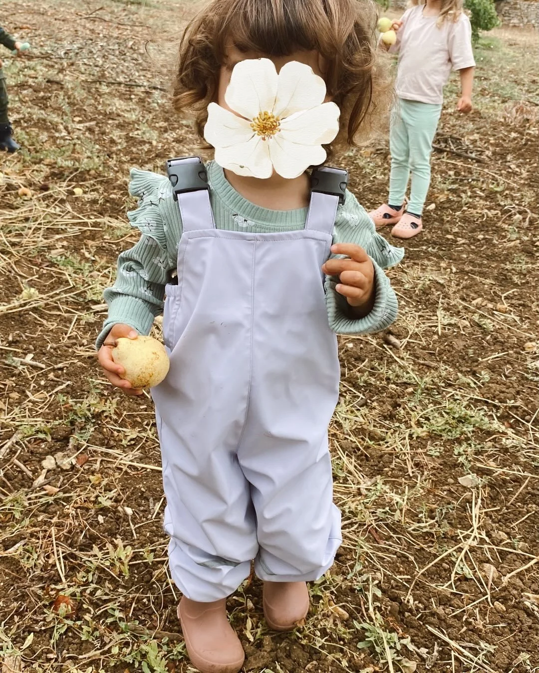 Last week the children discovered the joy of harvesting by picking ripe, juicy pears straight from the trees. Nothing sweeter than learning from nature&rsquo;s garden 🍐

__
🇵🇹
Na semana passada, as crian&ccedil;as descobriram a alegria da colheita